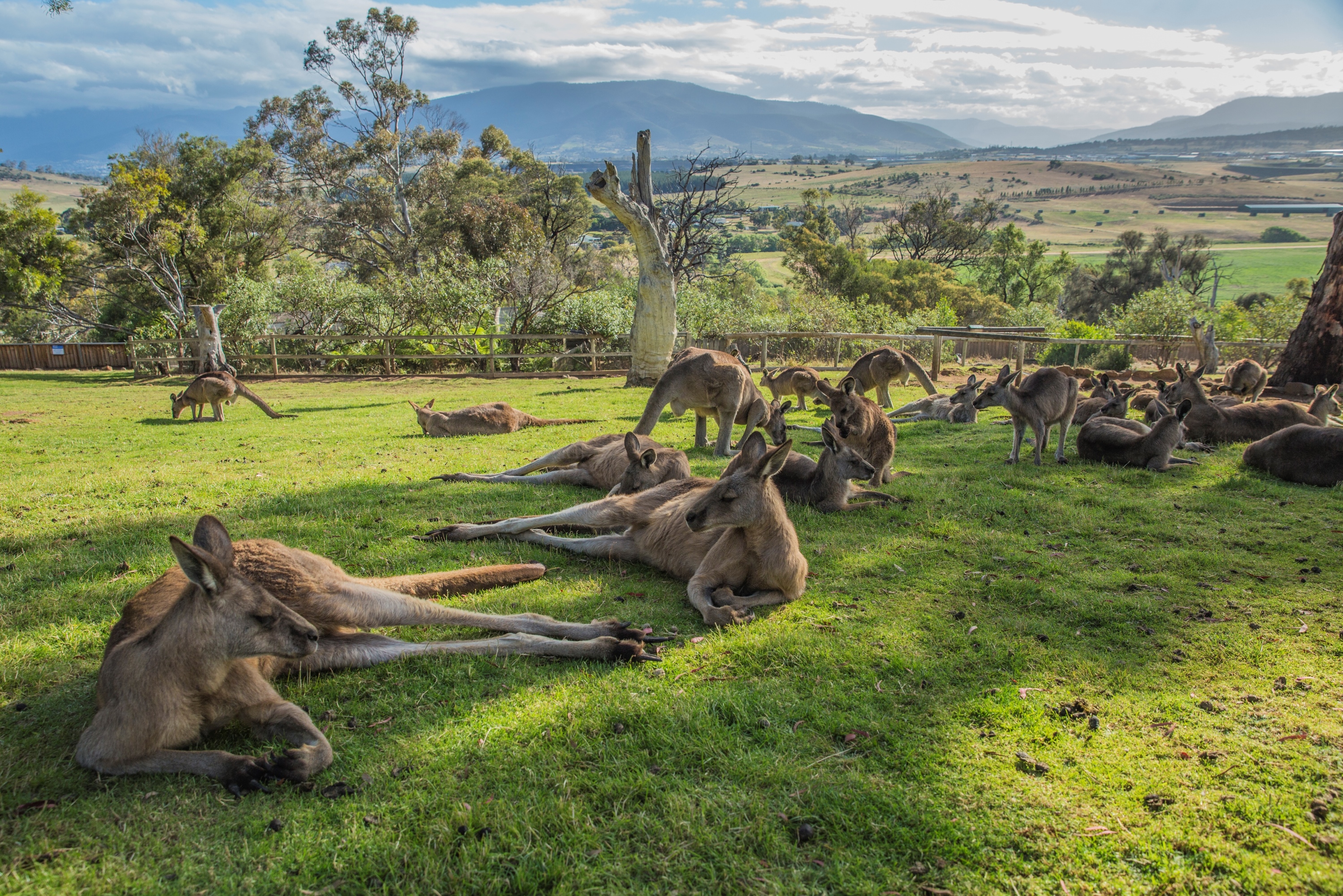 2 Day Tasmanian Highlights Tour - Hobart Highlights & Bruny Island 