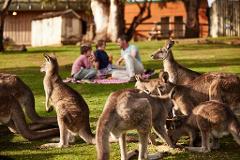 Tasmania’s most iconic  in 11 days