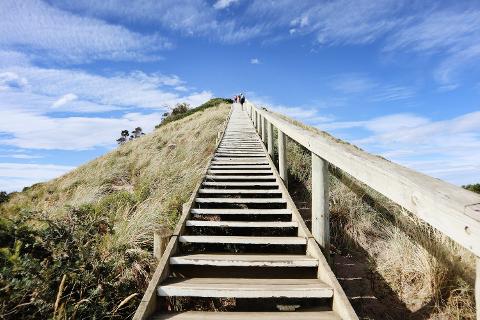 Bruny Island Day Tour Tasmania Australia