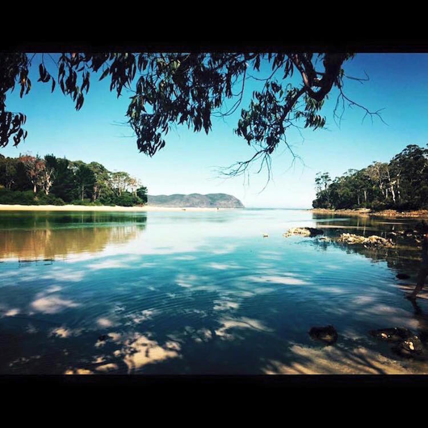 Bruny Island Day Tour