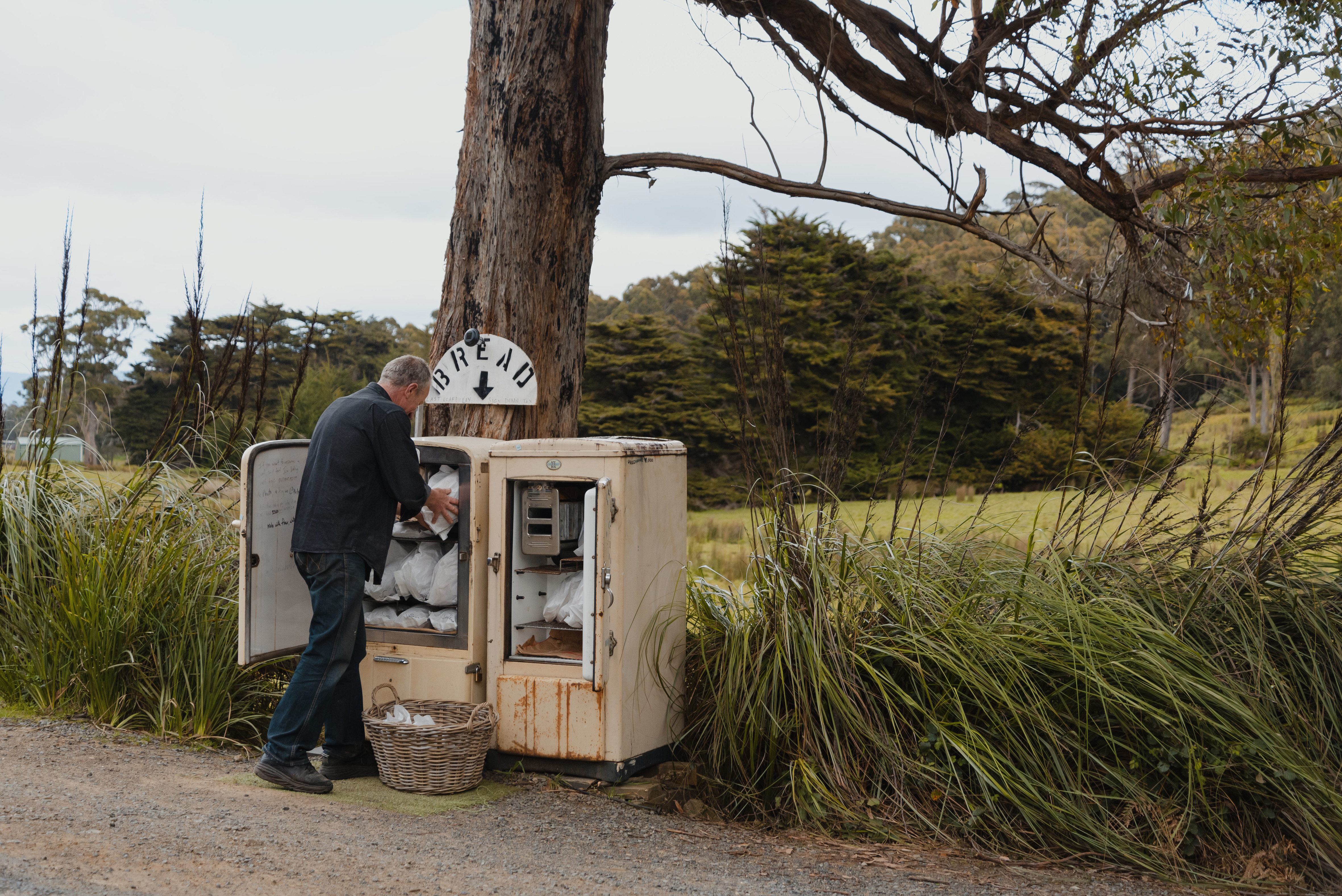 Bruny Island Day Tour