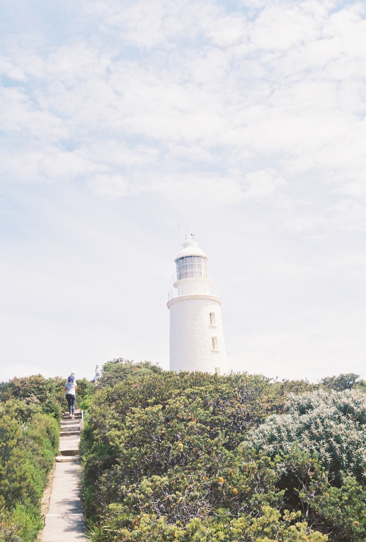 Private Tour of Hobart and Surrounds   