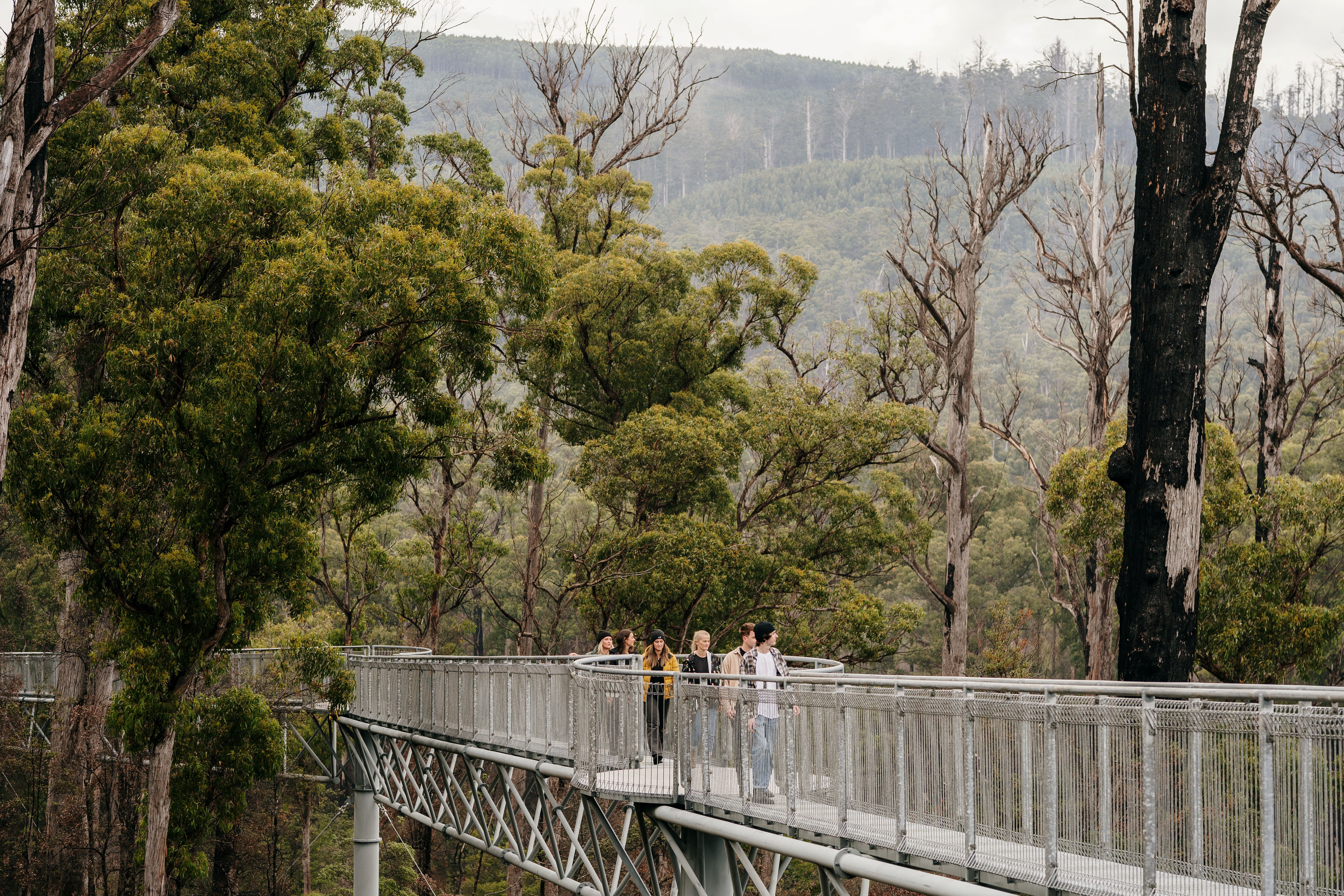 Hastings Caves, Tahune Airwalk and the Huon tasting trail