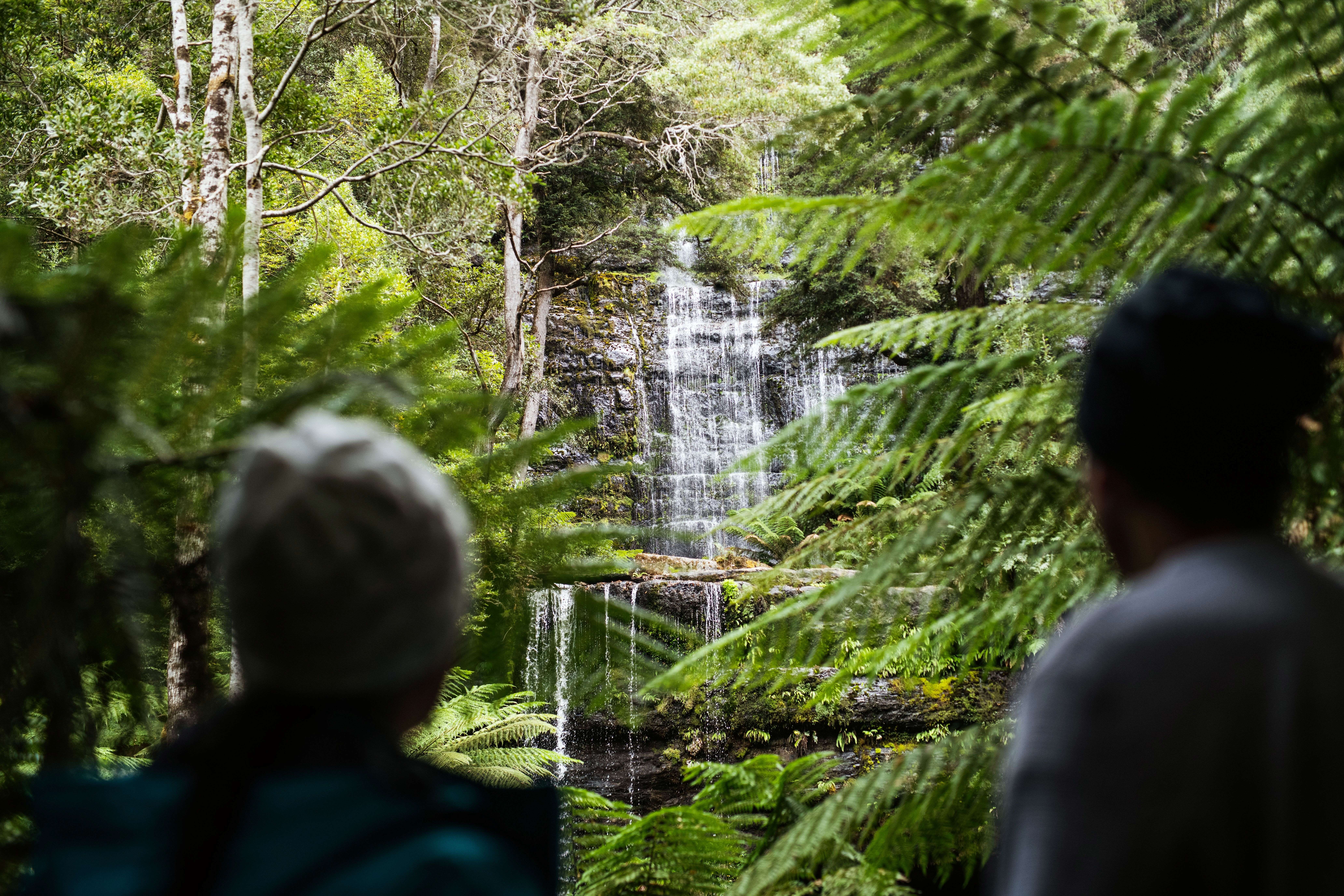 Mount Field waterfalls and Tasting Trail