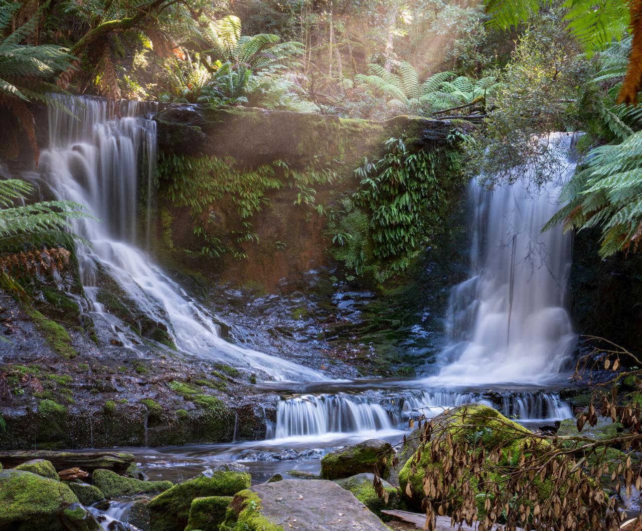 2 Day Tasmanian Highlights Tour - Bruny Island & Mt Field