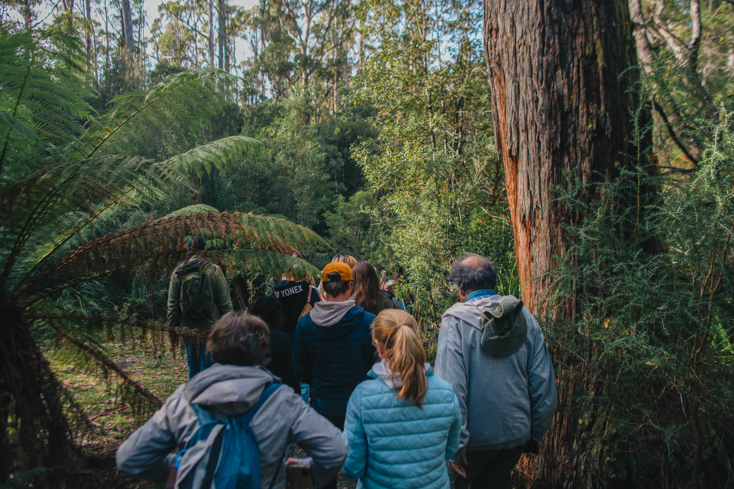 Bruny Island Day Tour