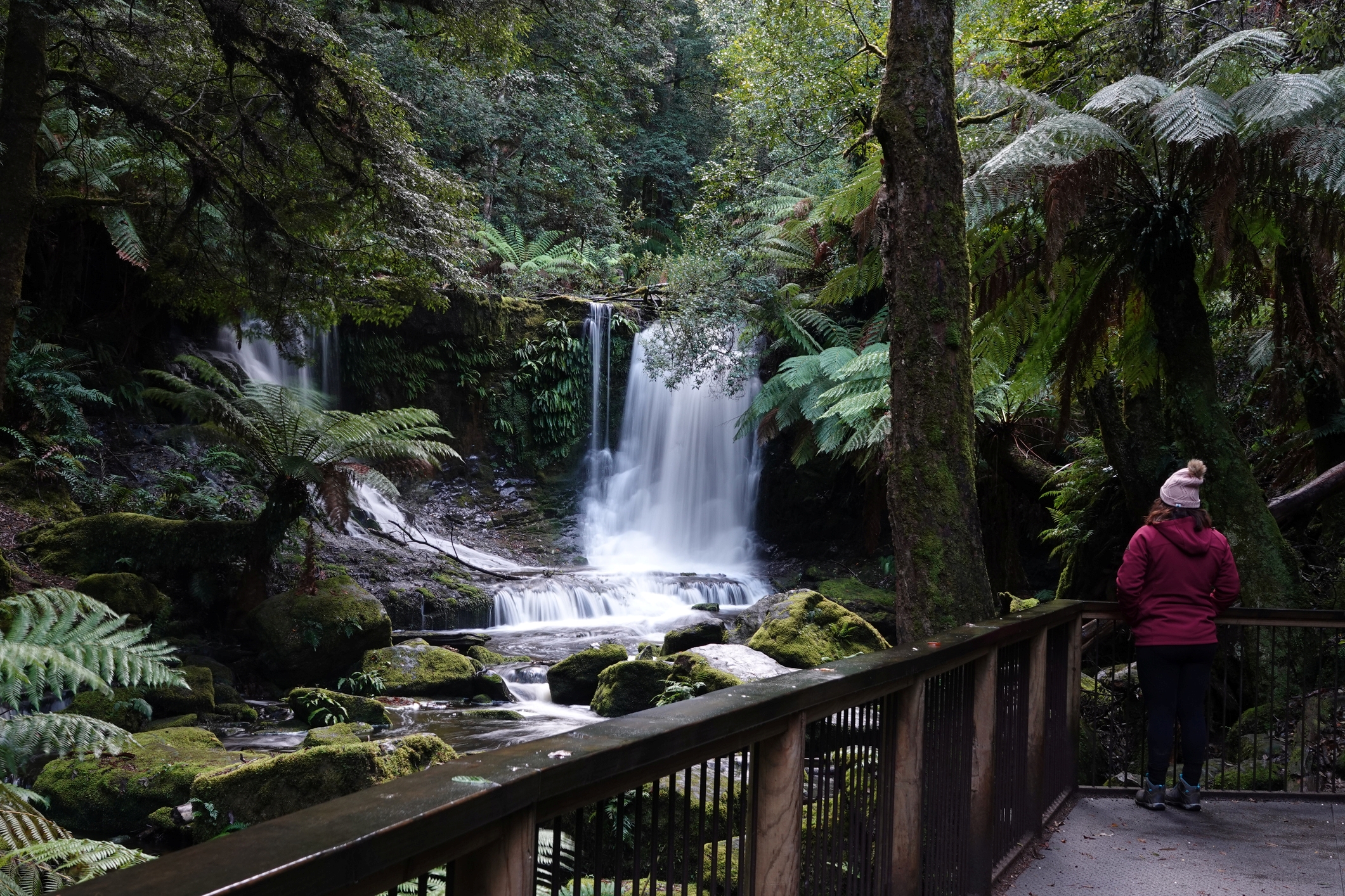 Mount Field waterfalls and Tasting Trail