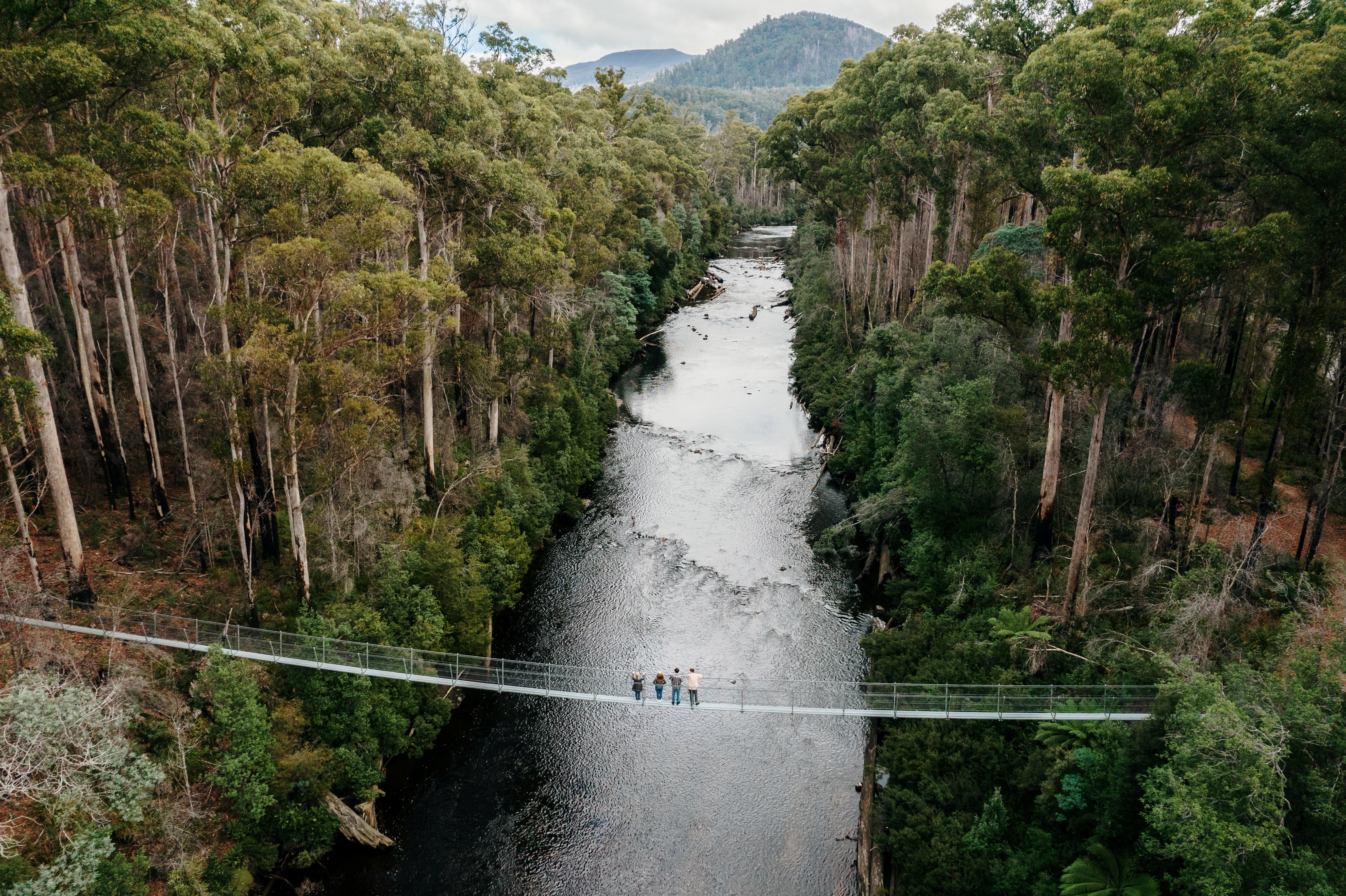 Hastings Caves, Tahune Airwalk and the Huon tasting trail