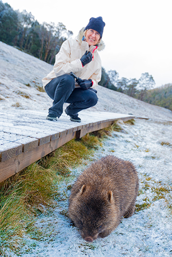 Shore Excursion - Cradle Mountain Shuttle Bus 