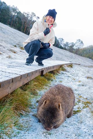 Shore Excursion – Cradle Mountain day tour Tasmania Australia