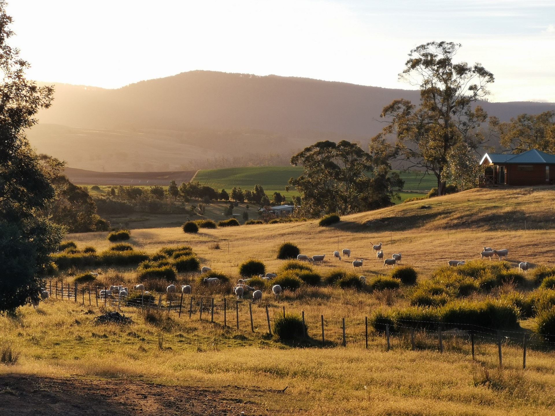 7 Day Tasmania Signature Experience