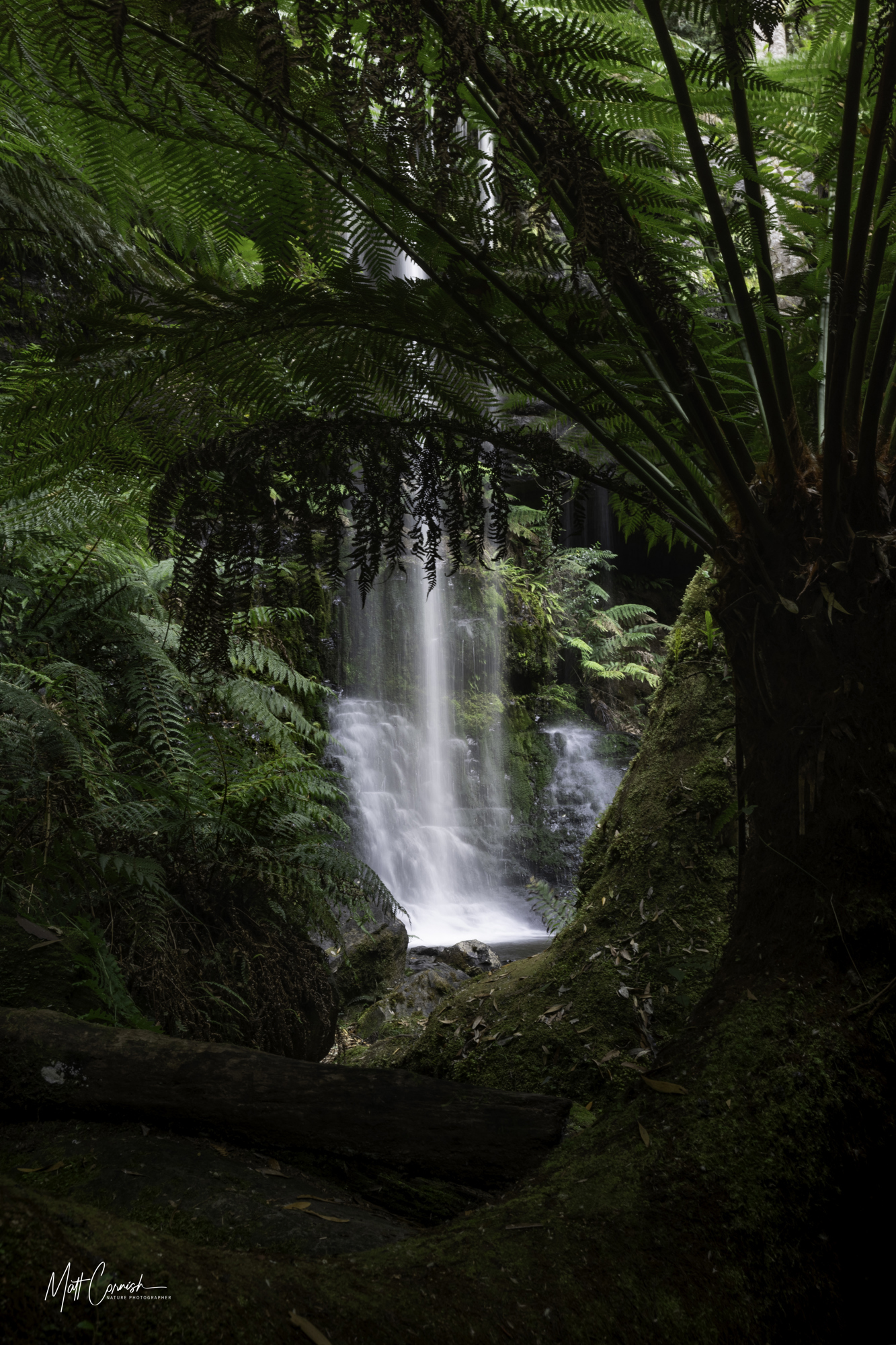 Focus on the Wild: 10-Day Tasmania Photography Tour