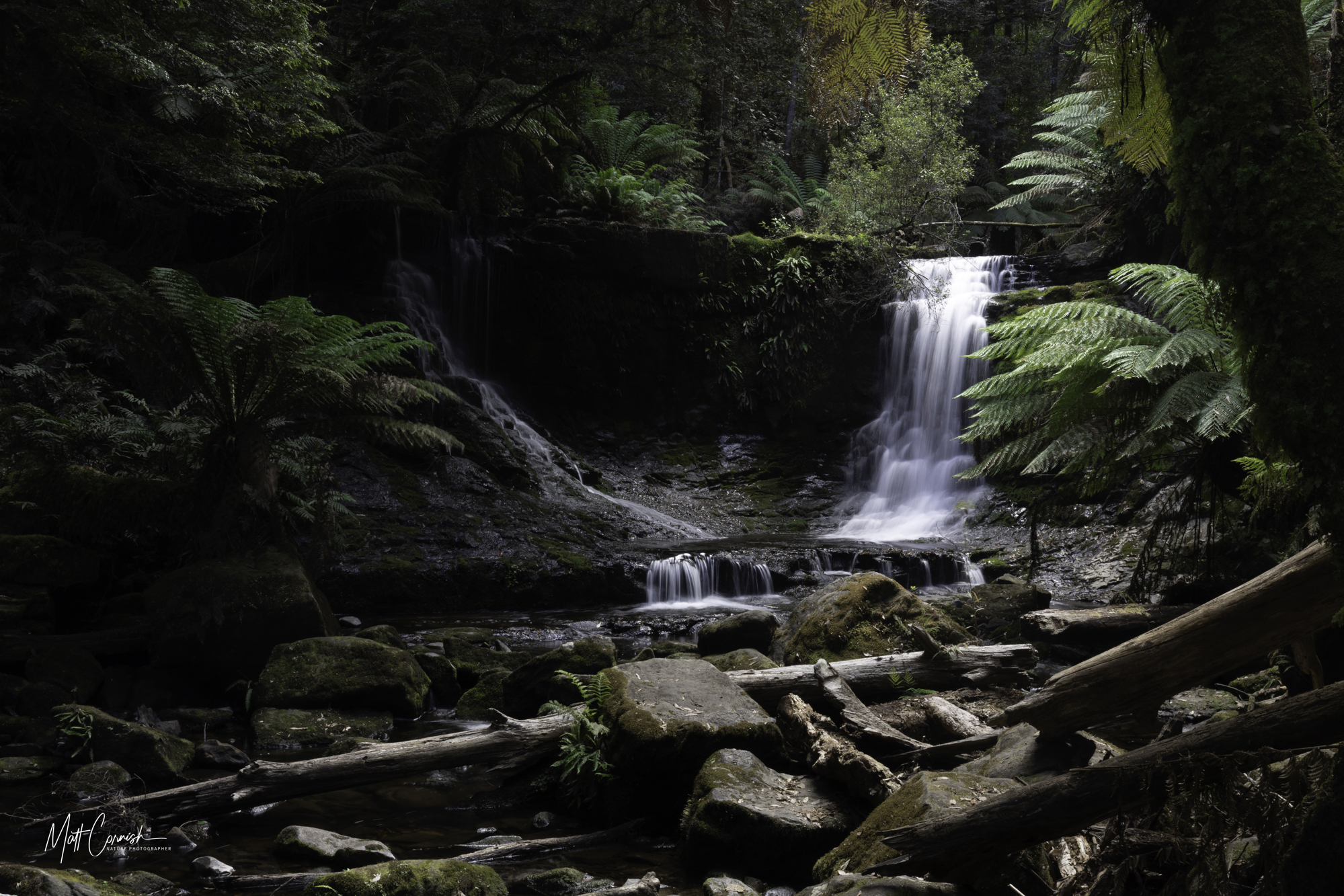 Focus on the Wild: 10-Day Tasmania Photography Tour