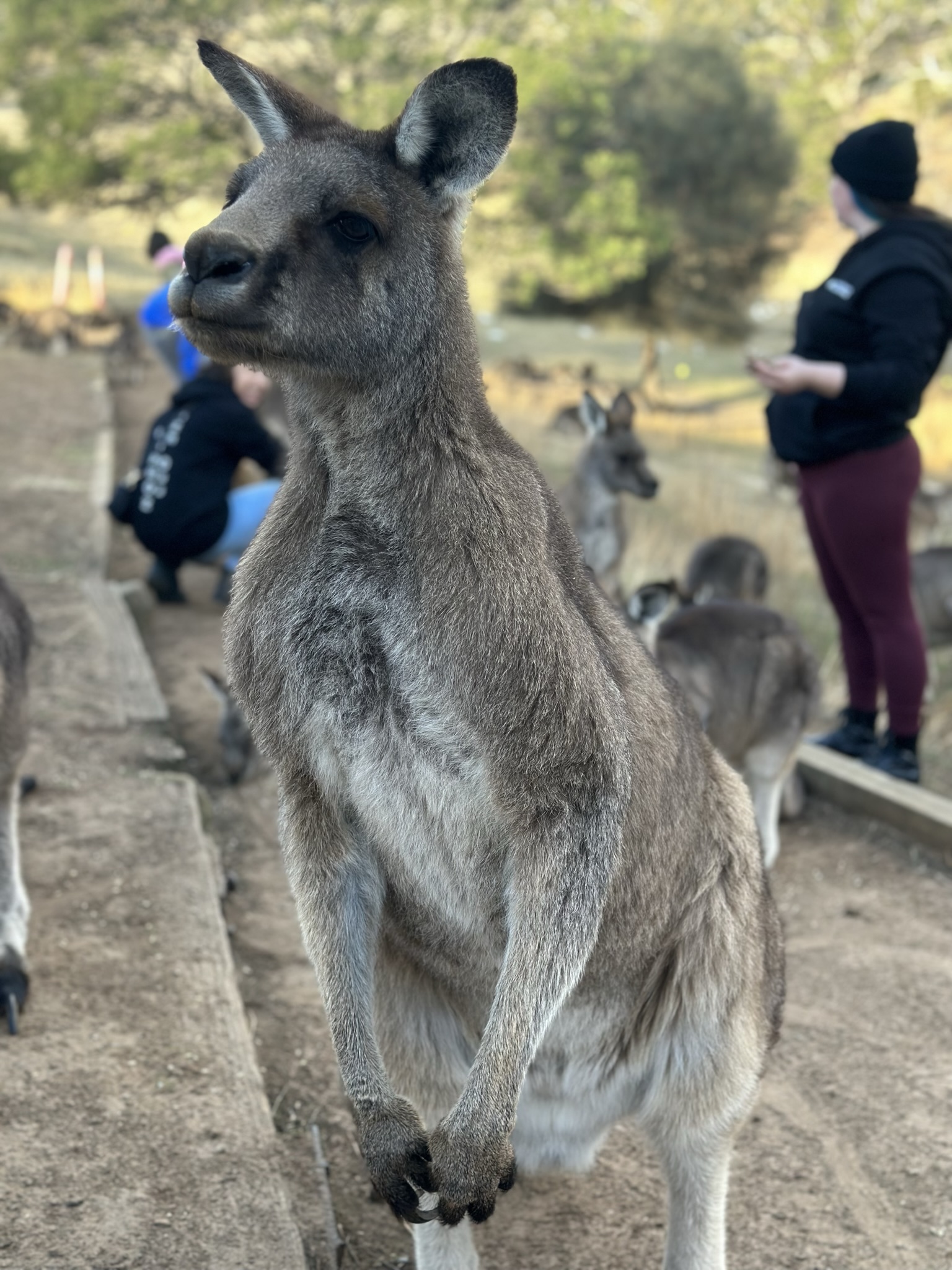 7 Day Tasmania Signature Experience