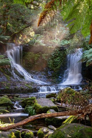 Mount Field to MONA Day Tour Tasmania Australia