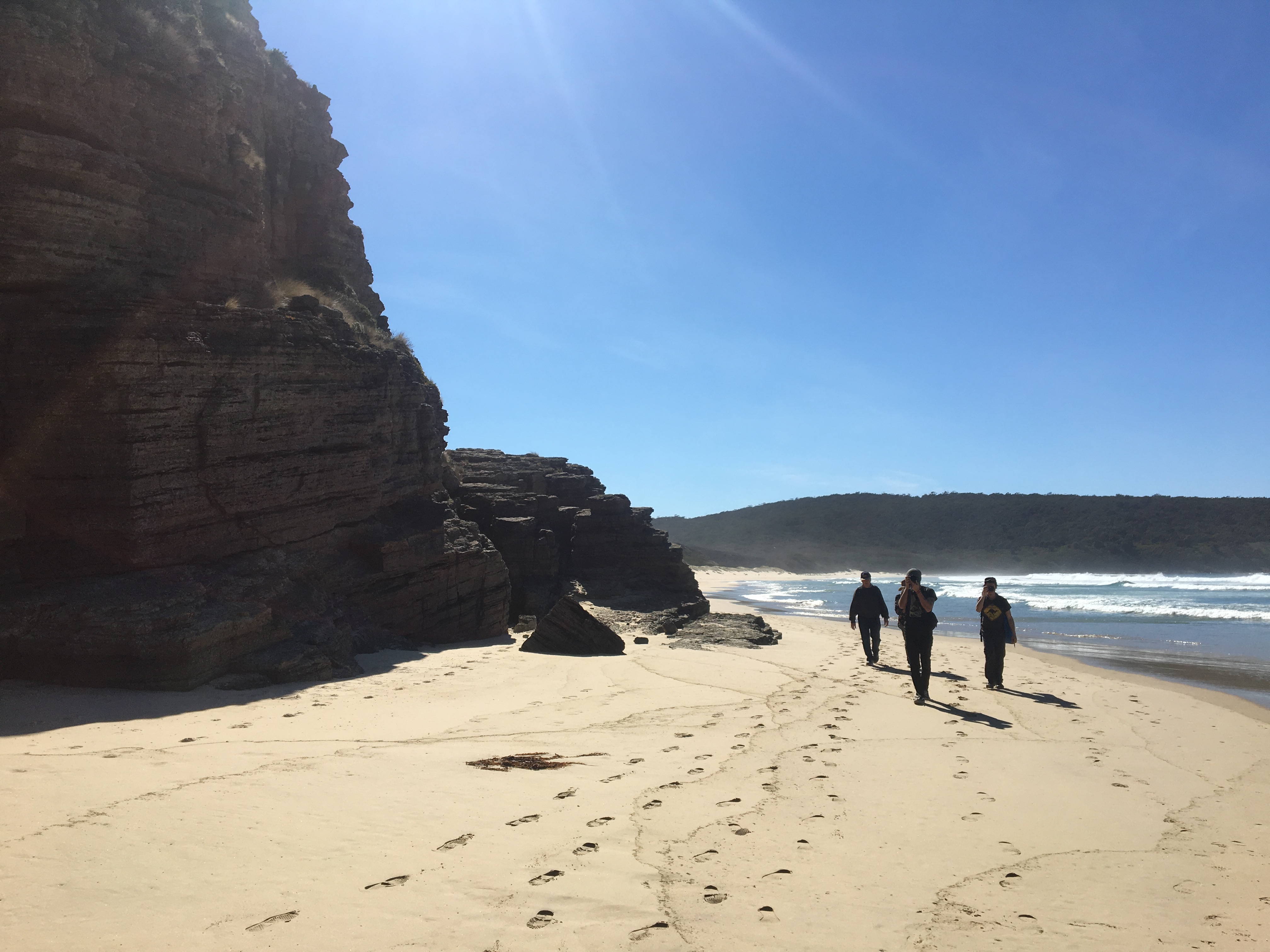 Bruny Island Adventure Day Tour