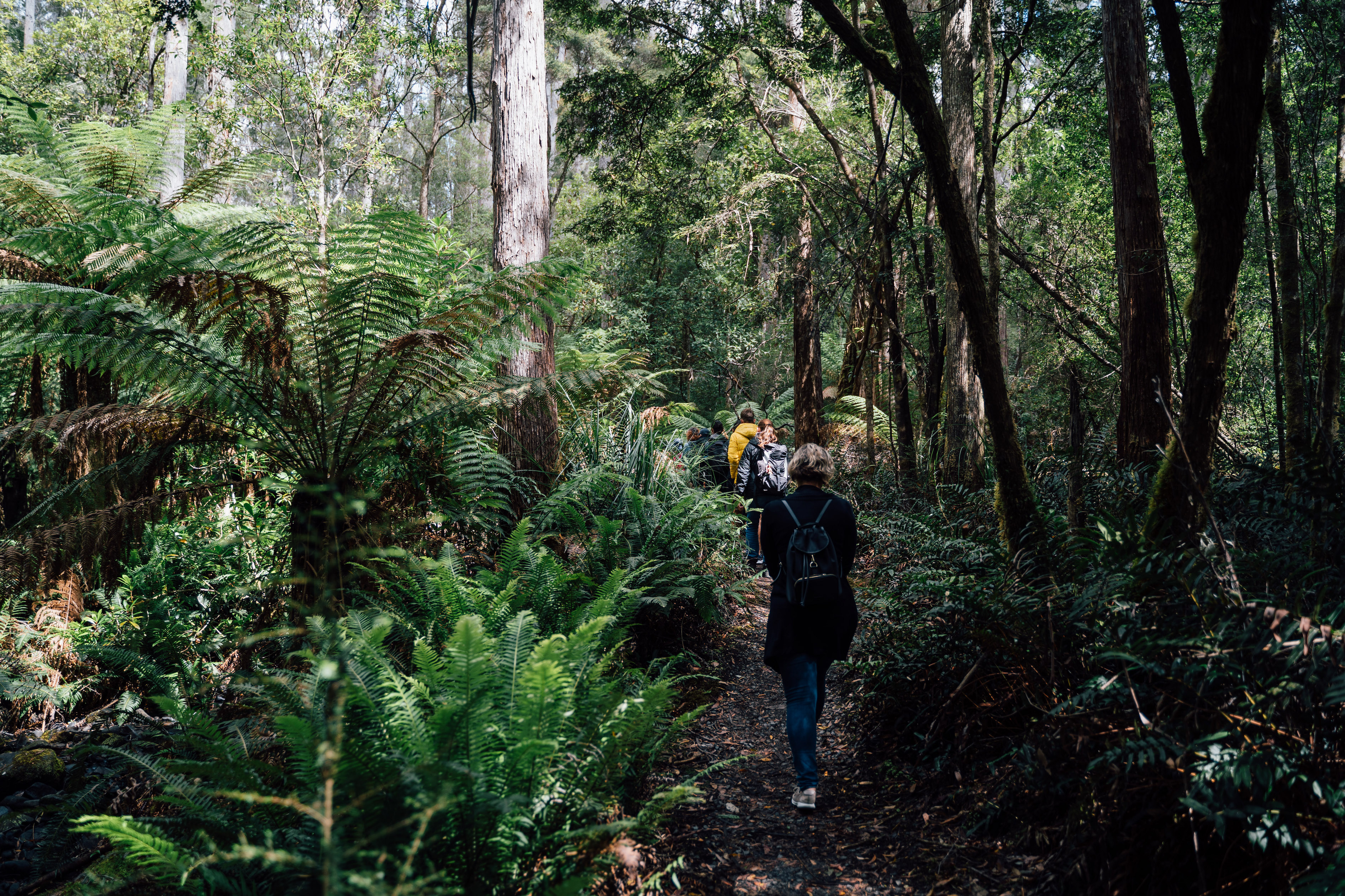 Tassie's Hiking Adventures - Walking and Hiking Tours 