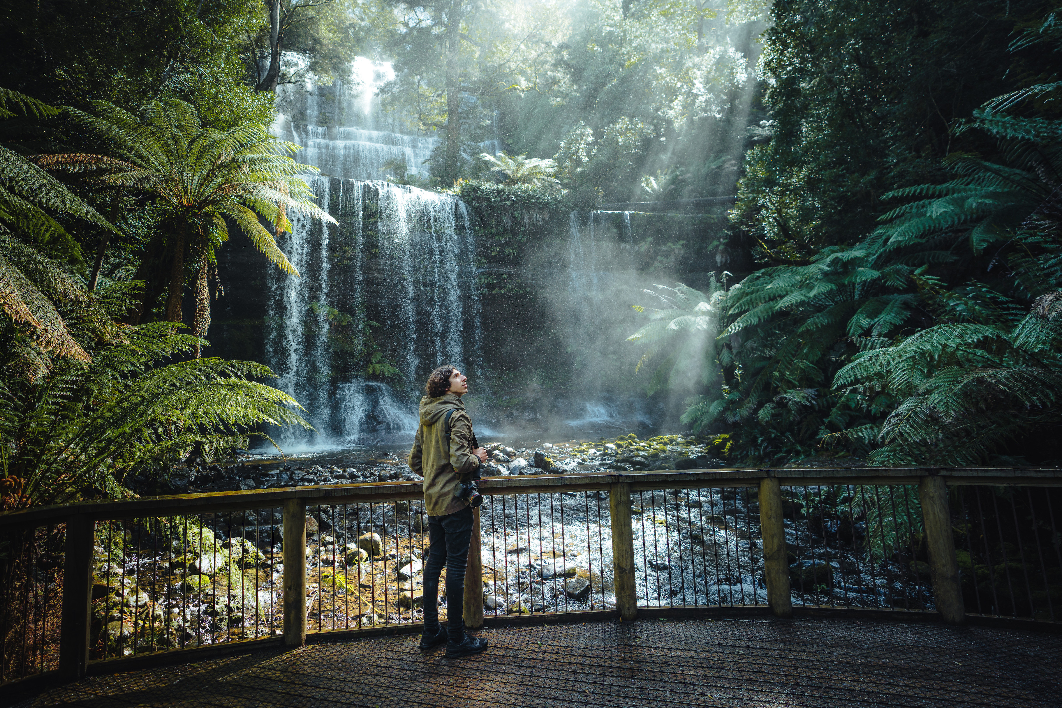 Mount Field waterfalls and Tasting Trail