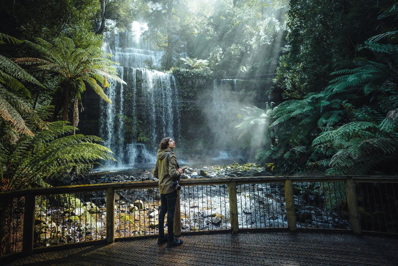 Mount Field waterfalls and Tasting Trail
