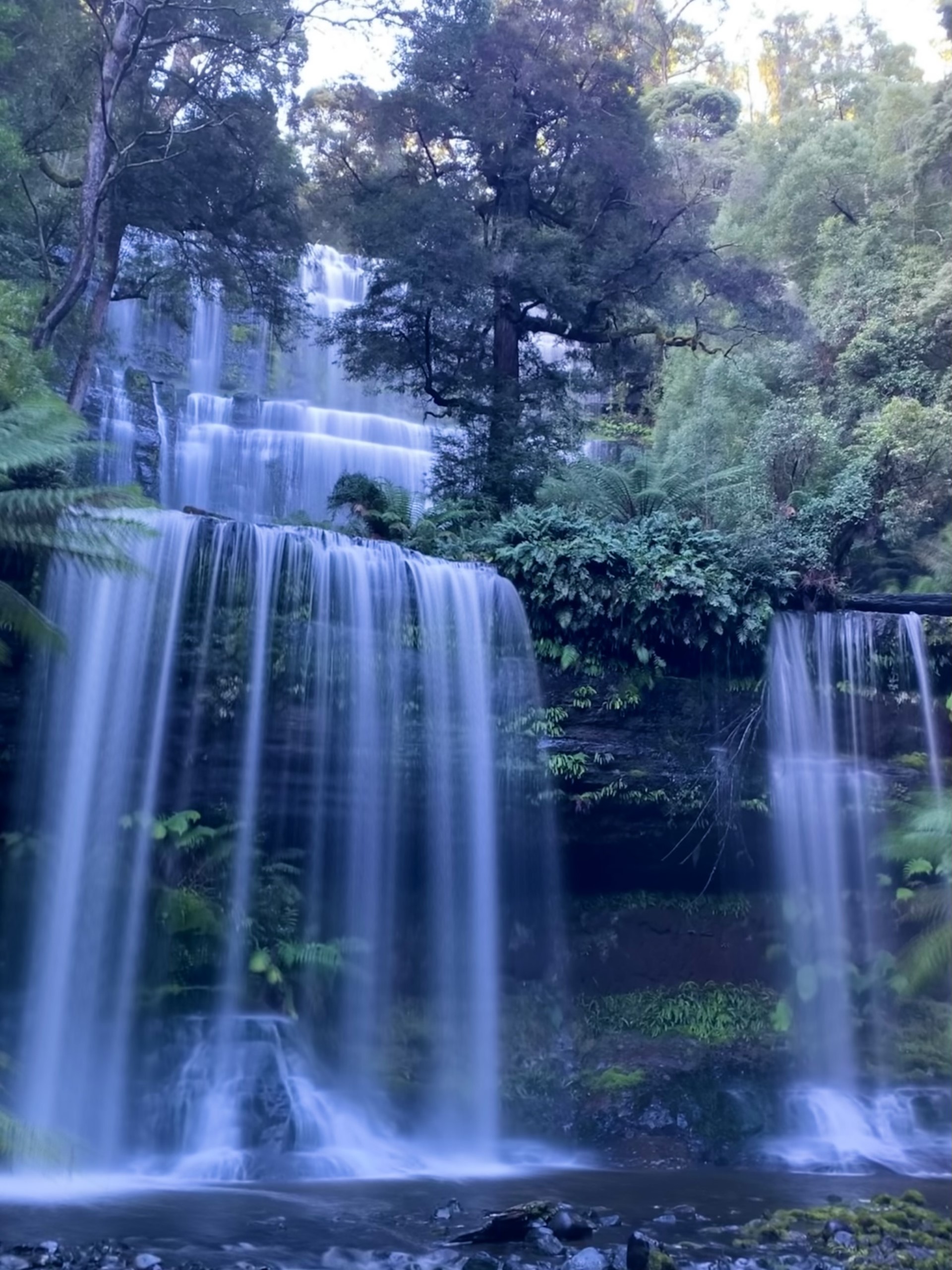 7 Day Tasmania Signature Experience