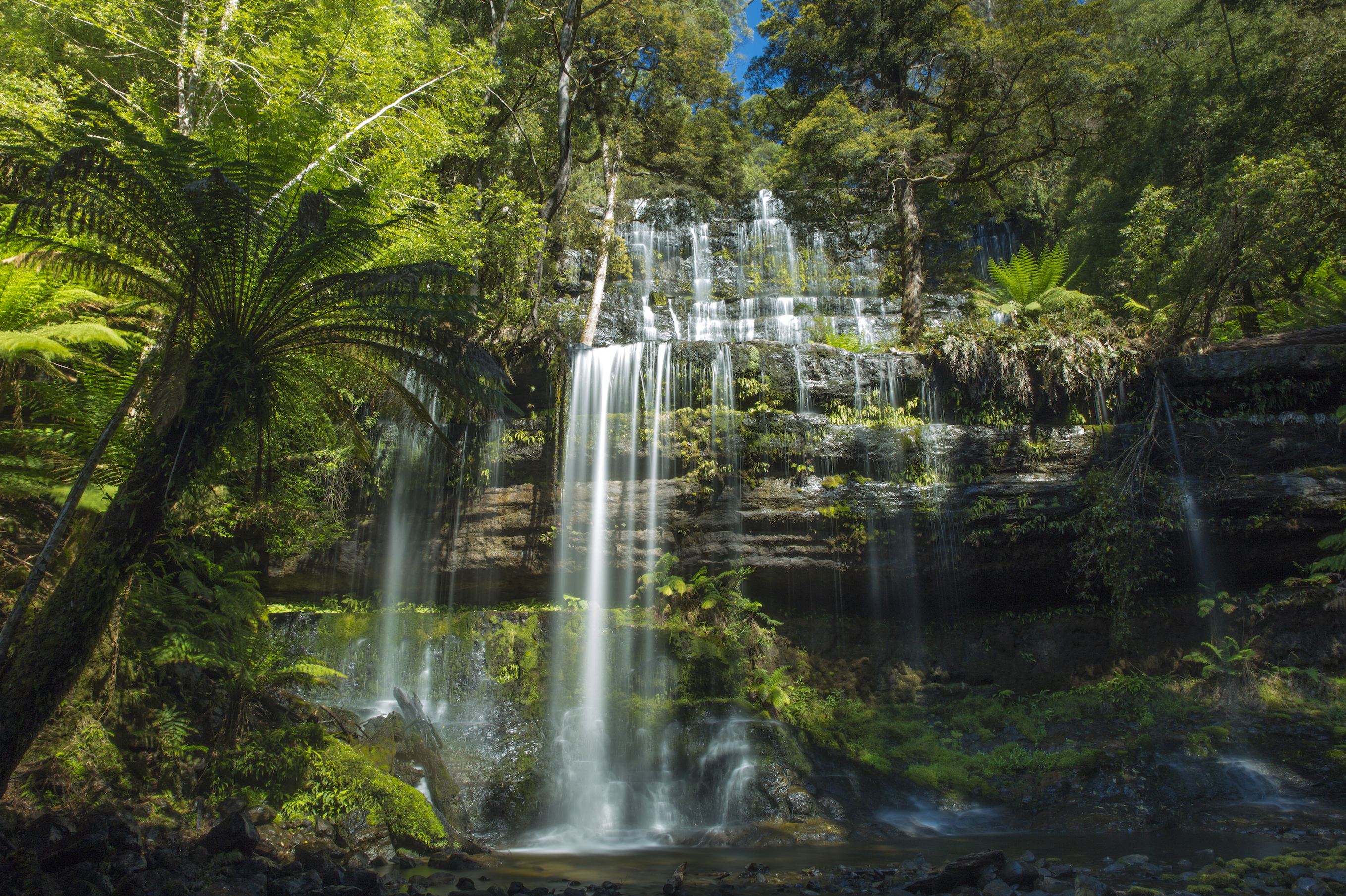 Private Tour of Hobart and Surrounds   