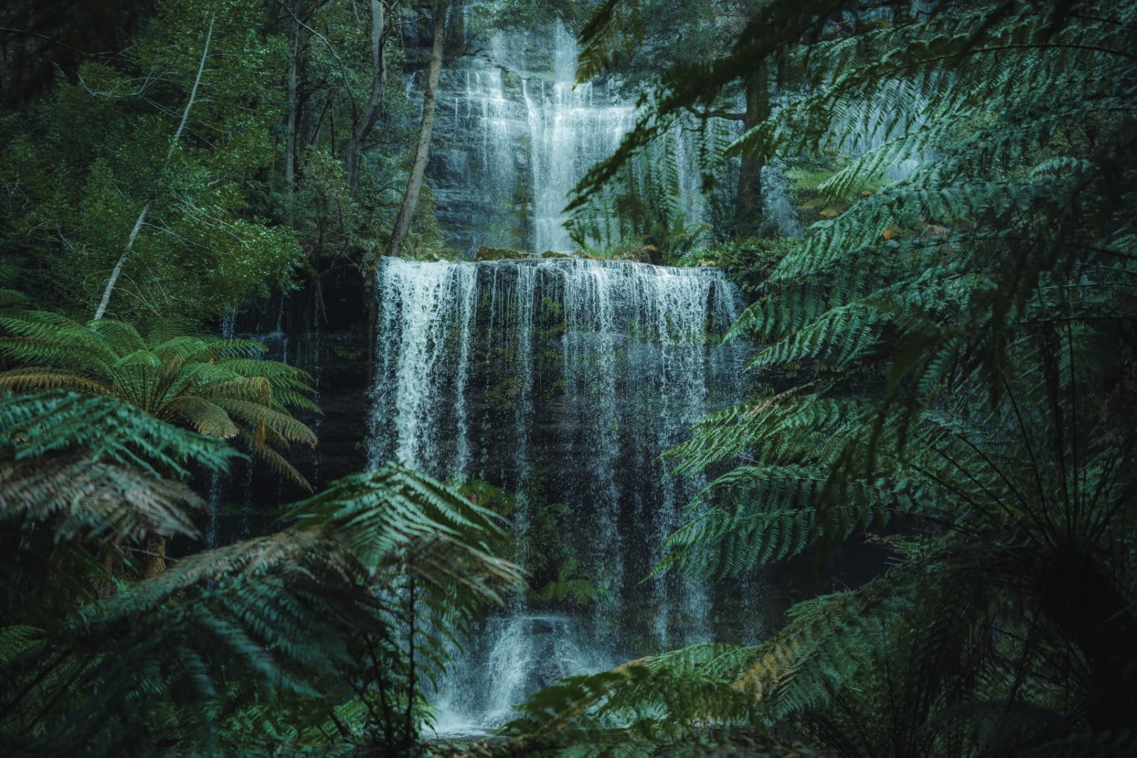 Mount Field waterfalls and Tasting Trail