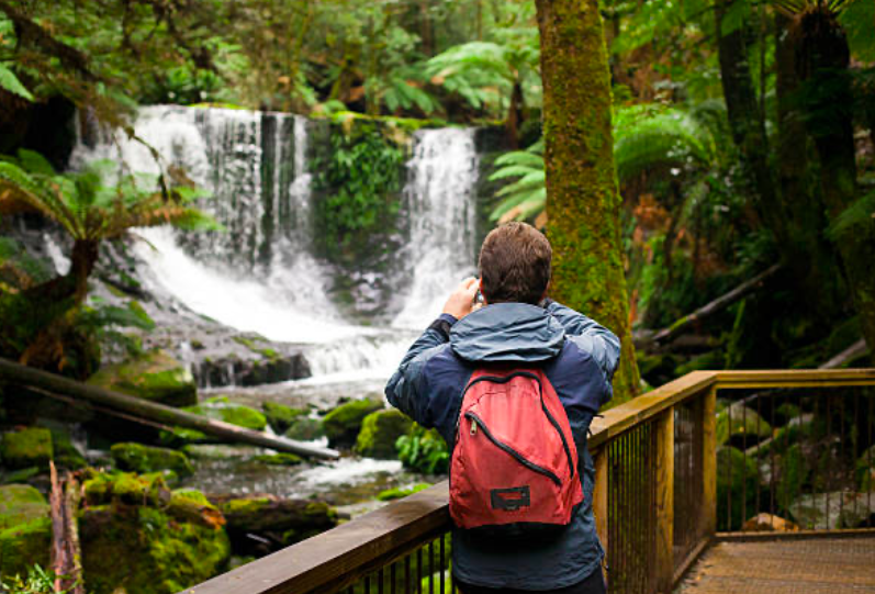 Mt Field National Park and Russell Falls