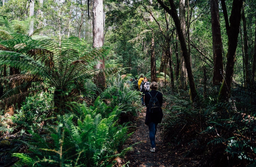 Bruny Island Day Tour - UTAS