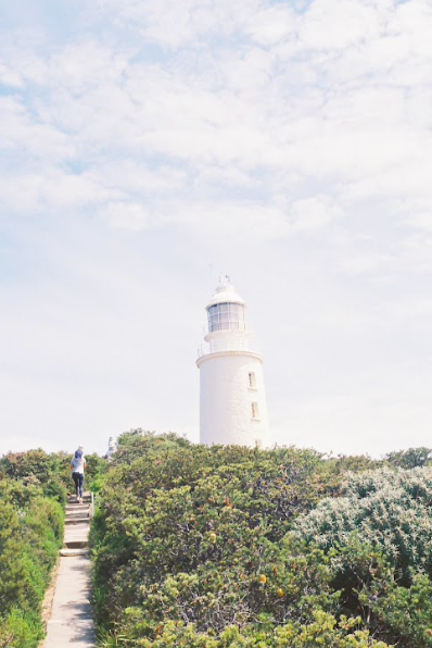 Bruny Island Day Tour