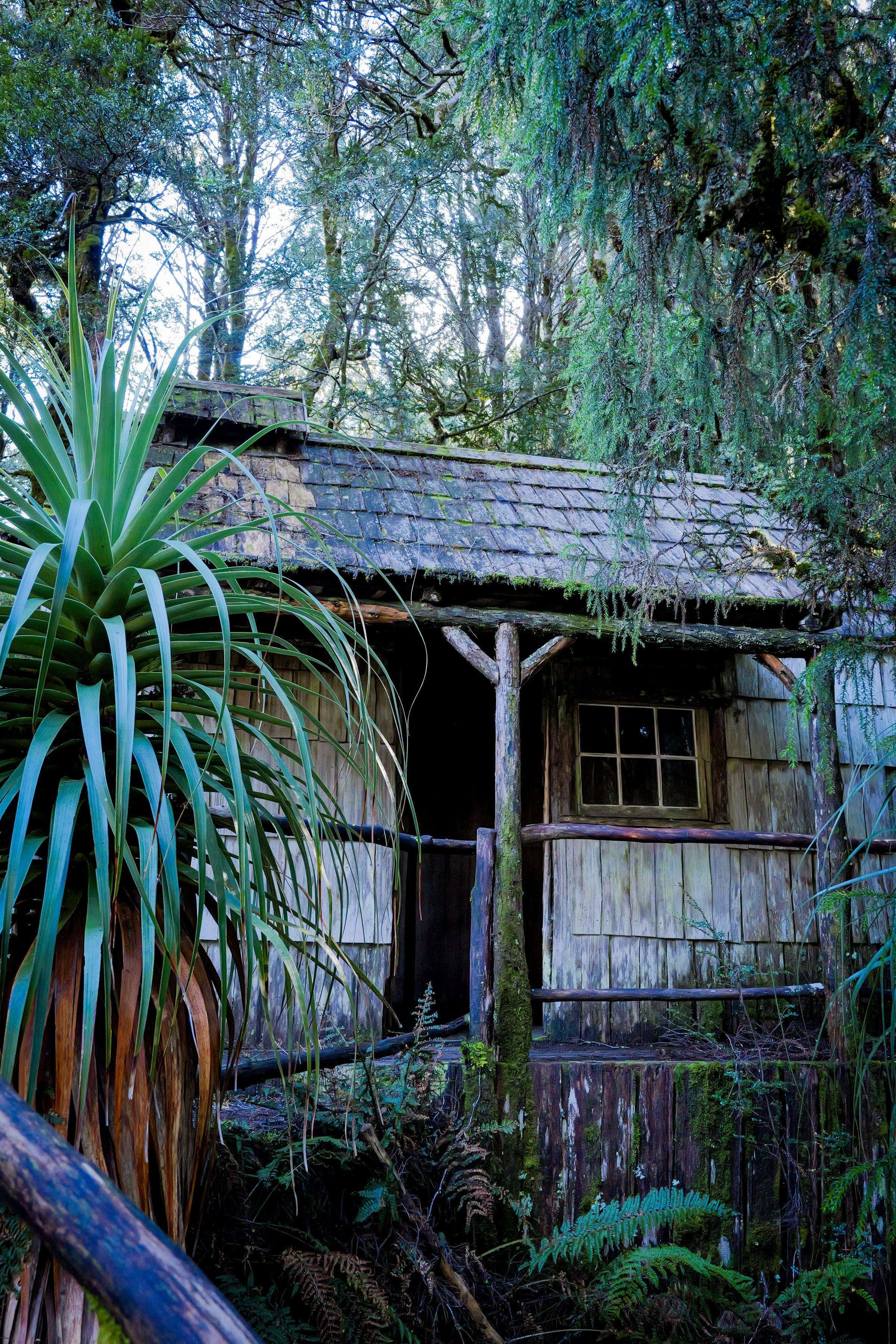Cradle Mountain Explorer: Hobart to Launceston
