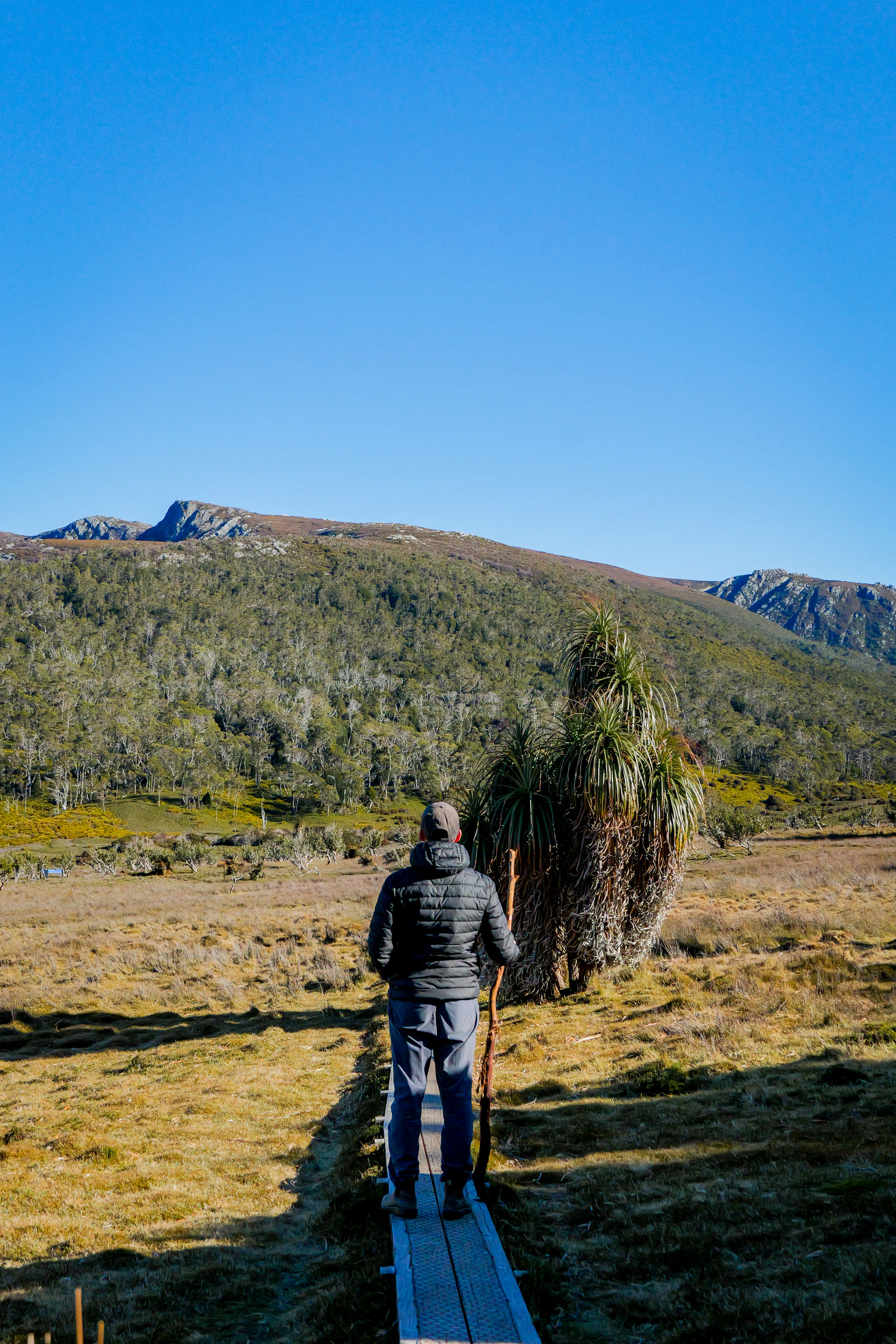 Cradle Mountain Explorer: Hobart to Launceston