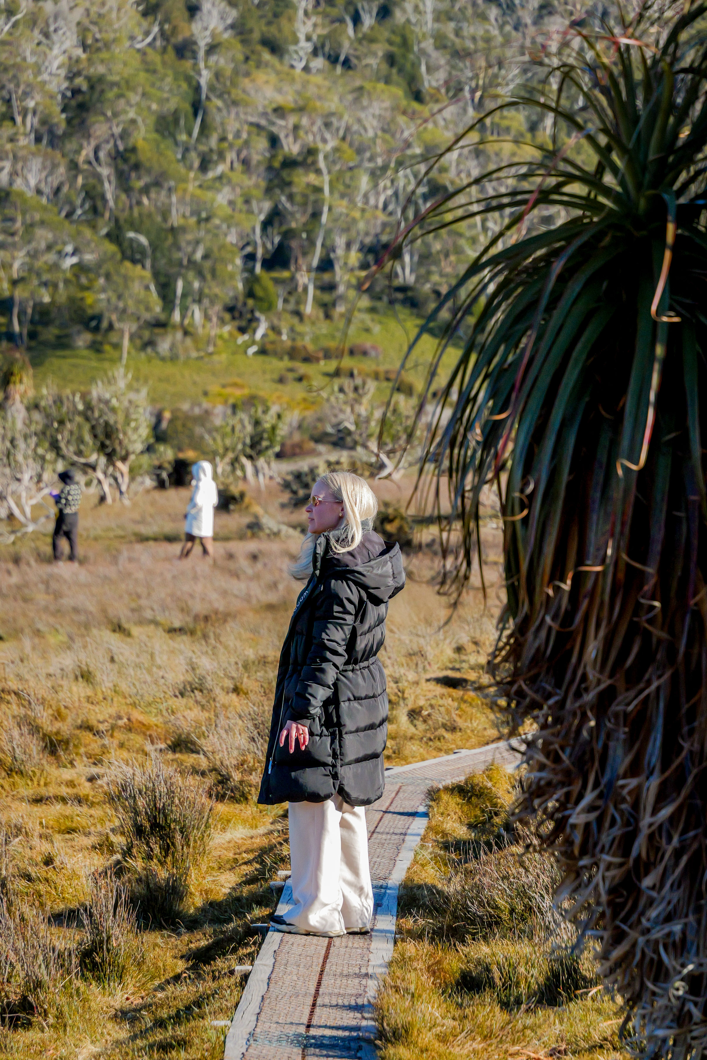 Cradle Mountain Explorer: Hobart to Launceston