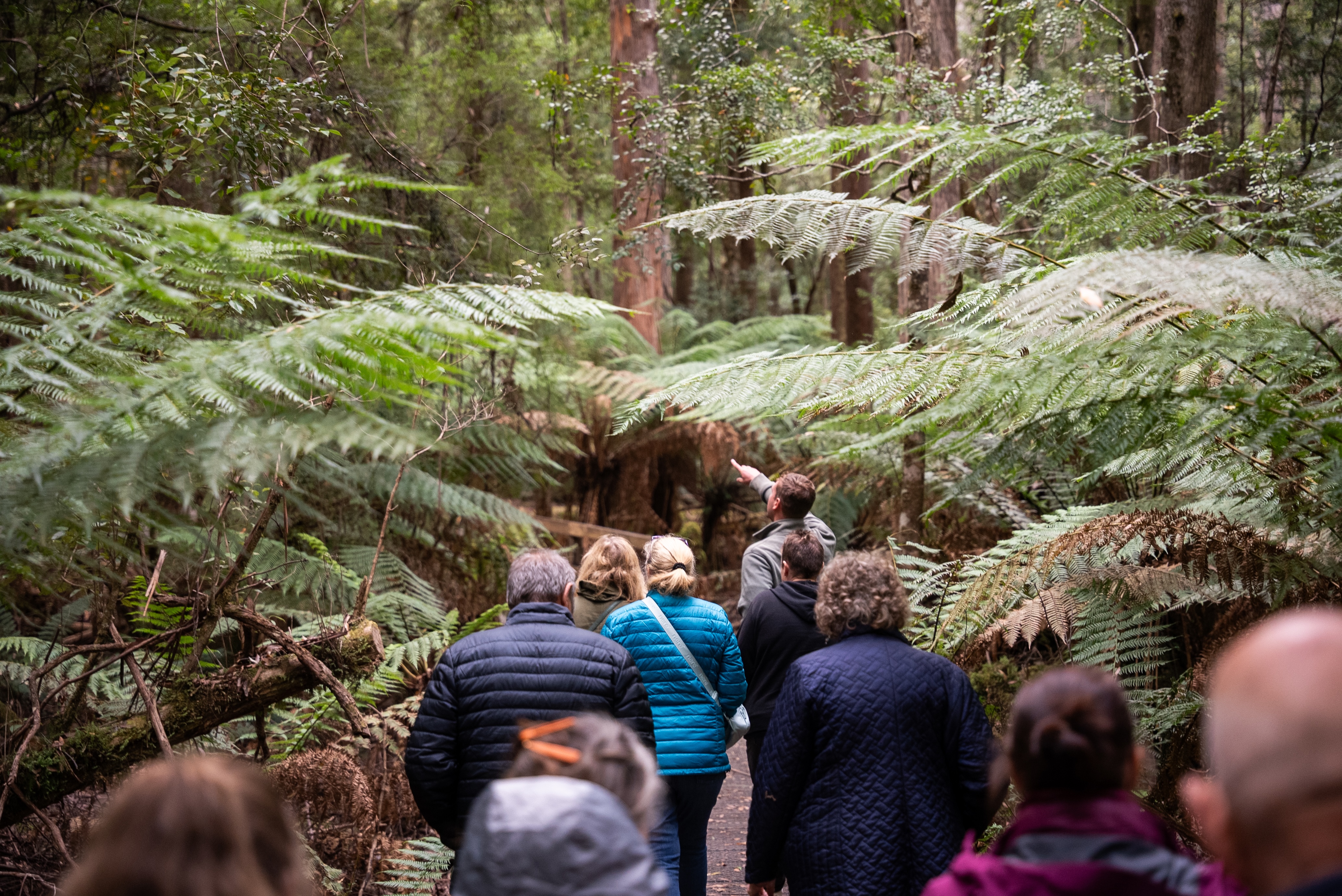 Hastings Caves, Tahune Airwalk and the Huon tasting trail