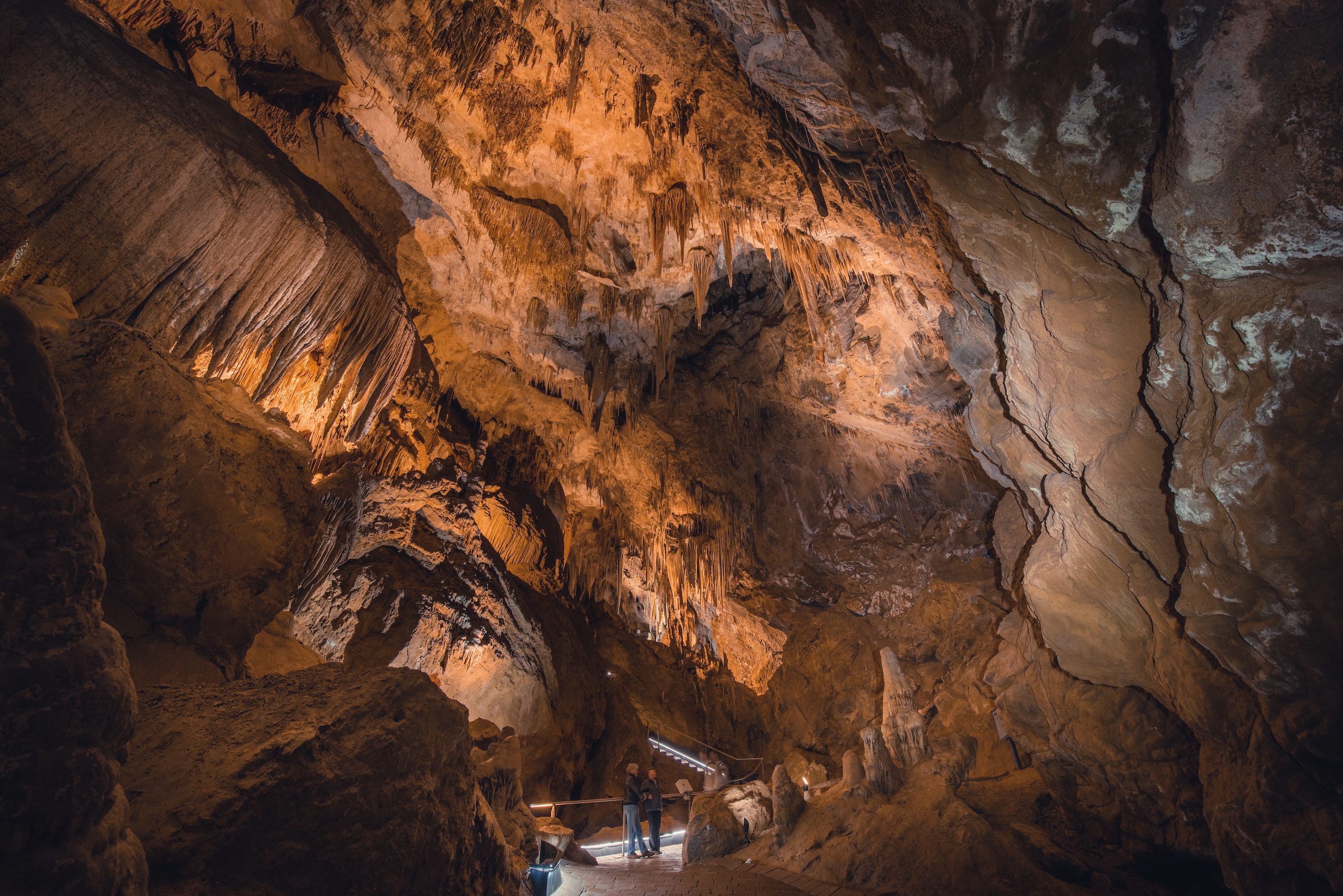 6 Day Island Icons Day Tour Bundle - Cradle Mountain, Wineglass Bay, Hobart Highlights, Port Arthur, Bruny Island, Hastings and Tahune