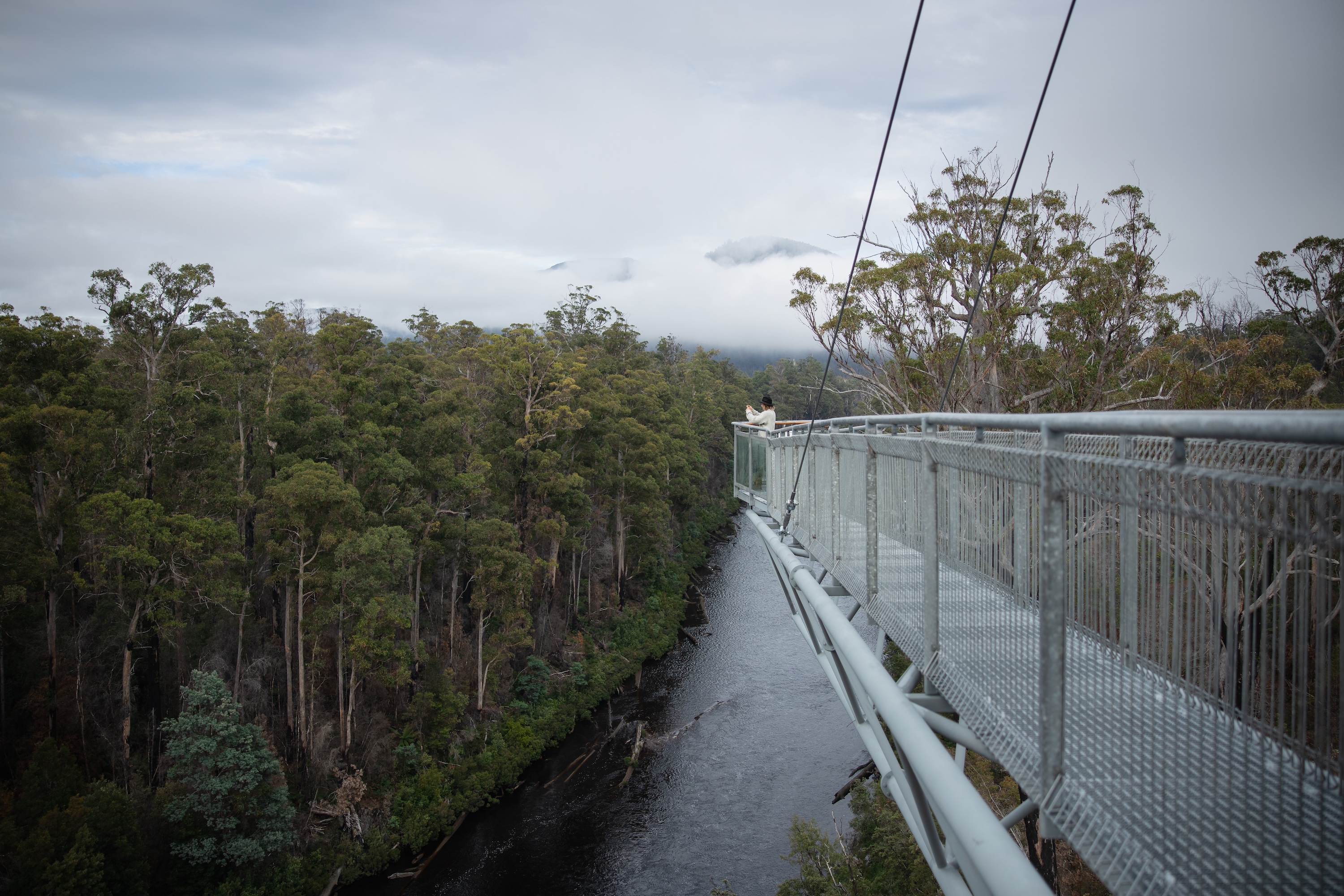 4 Day Tasmanian Highlights Bundle - Hobart, Port Arthur, Bruny Island, Hastings and Tahune