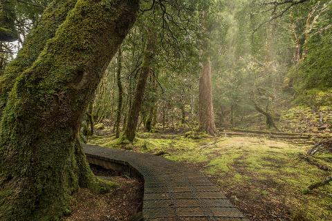 Shore Excursion – Cradle Mountain day tour Tasmania Australia