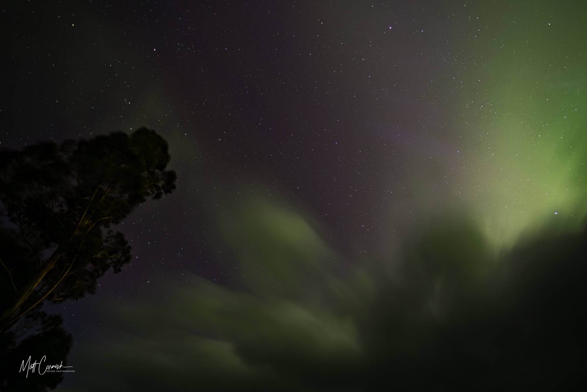 Focus on the Wild: 10-Day Tasmania Photography Tour