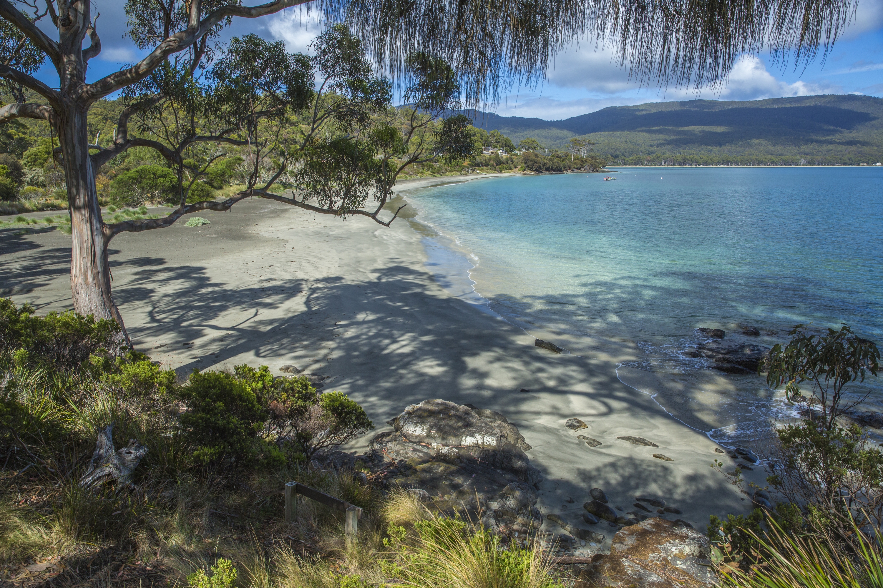 4 Day Tasmanian Highlights Tour - Hobart, Port Arthur, Bruny Island, Mt Field to MONA 