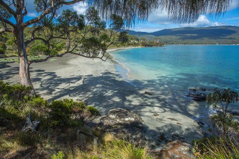 2 Day Bruny Island & Port Arthur Tour From Hobart Tasmania Australia