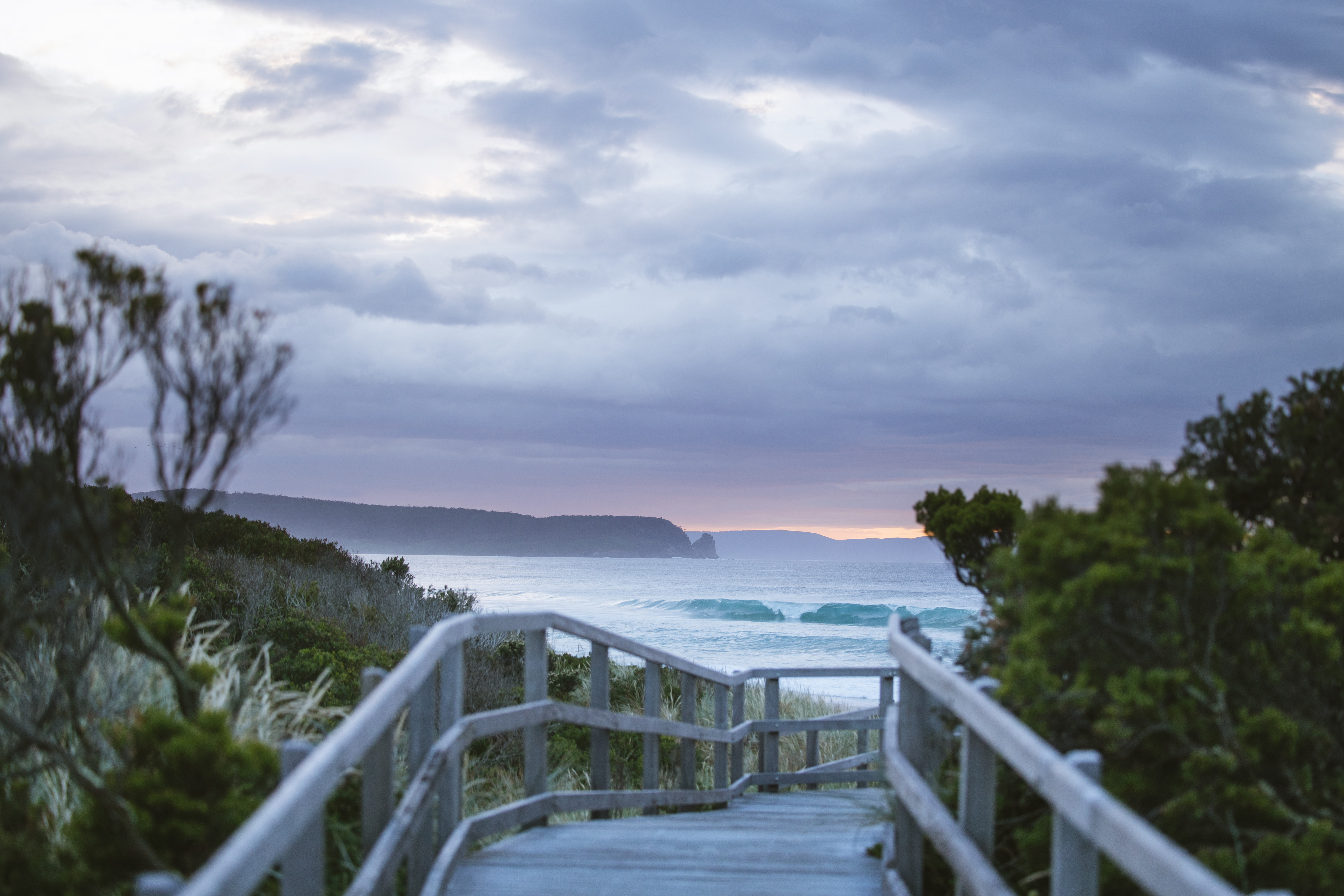 Bruny Island Day Tour