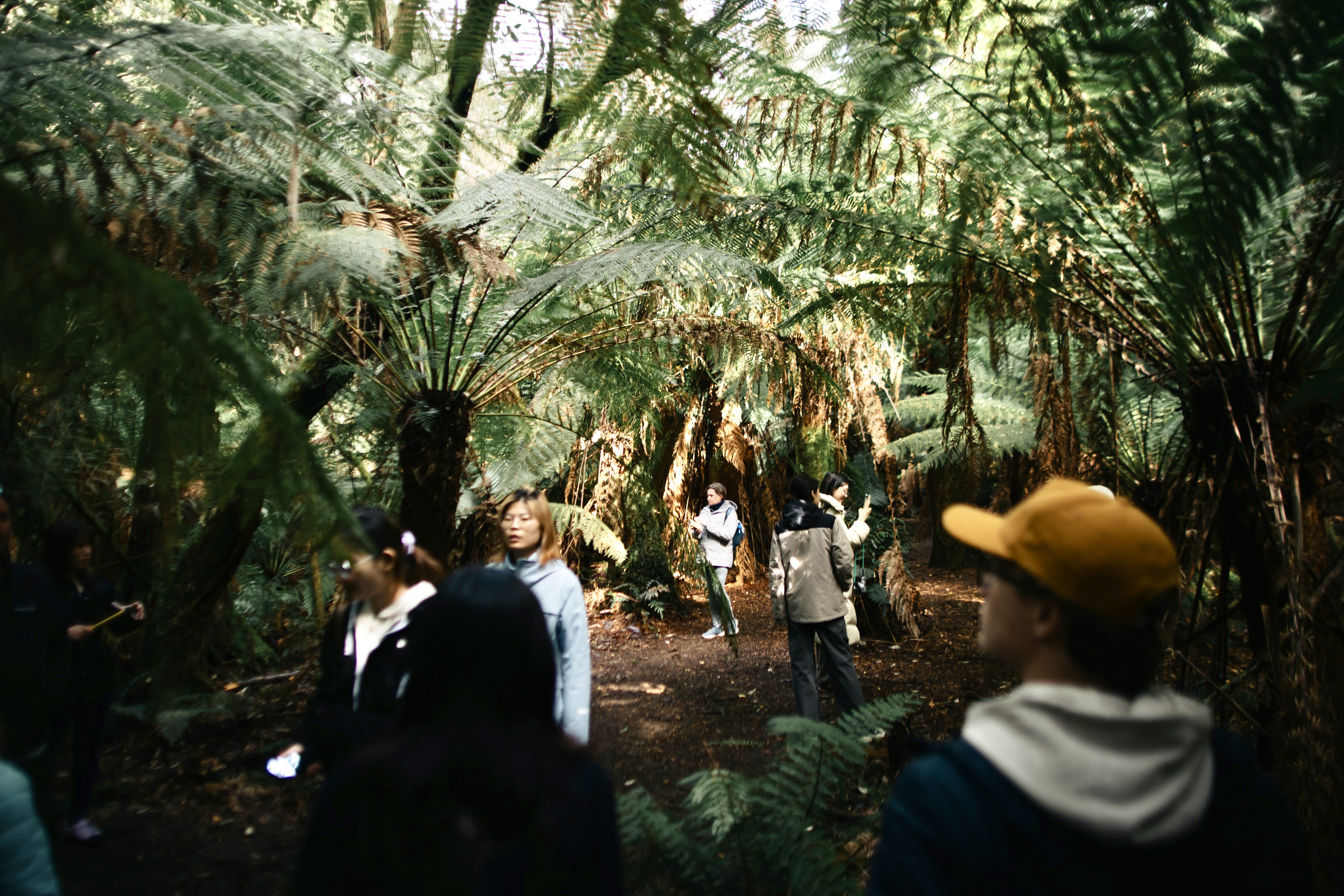 Bruny Island Day Tour