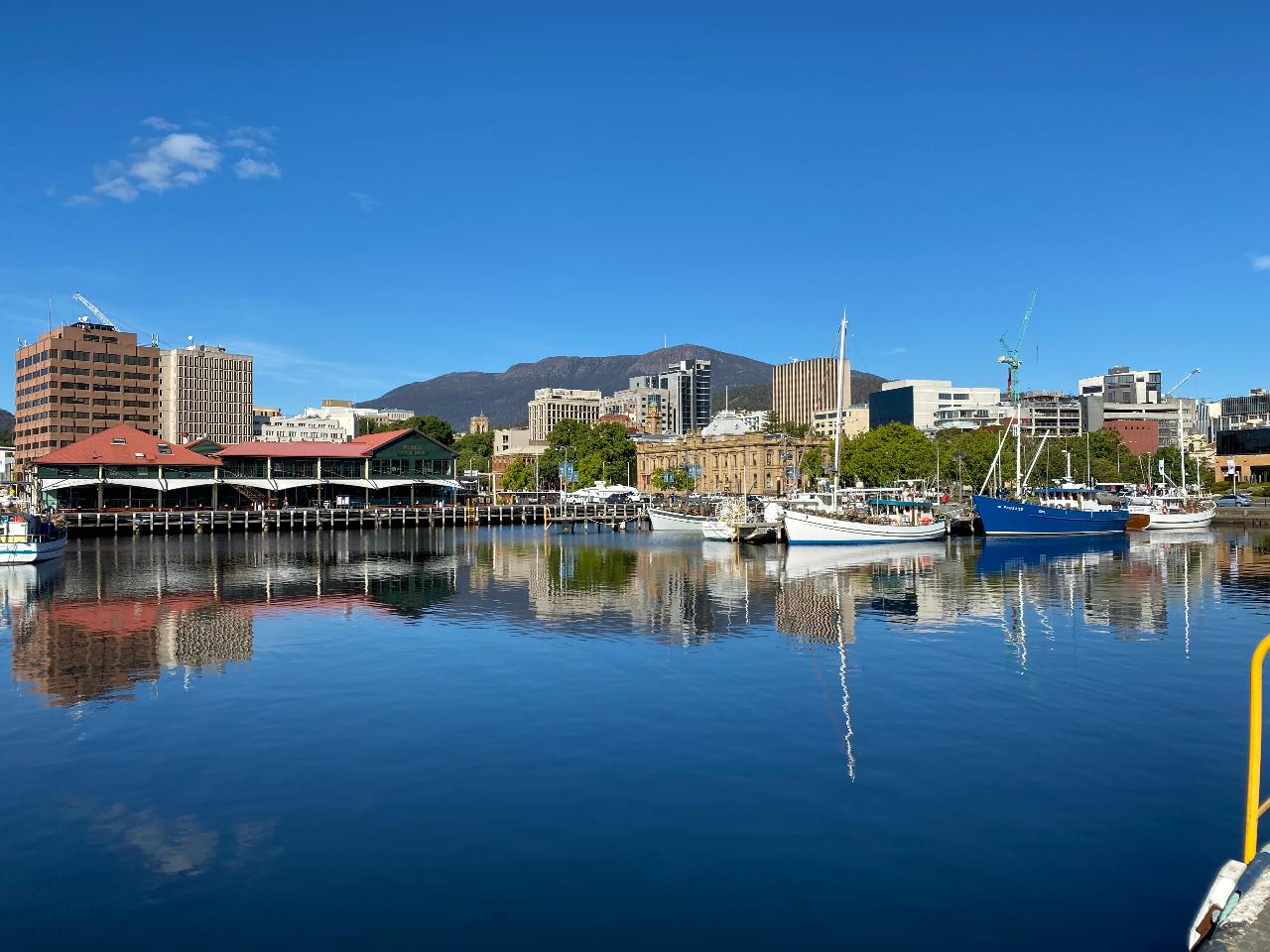 Shore excursion - Hobart's best in half a day.