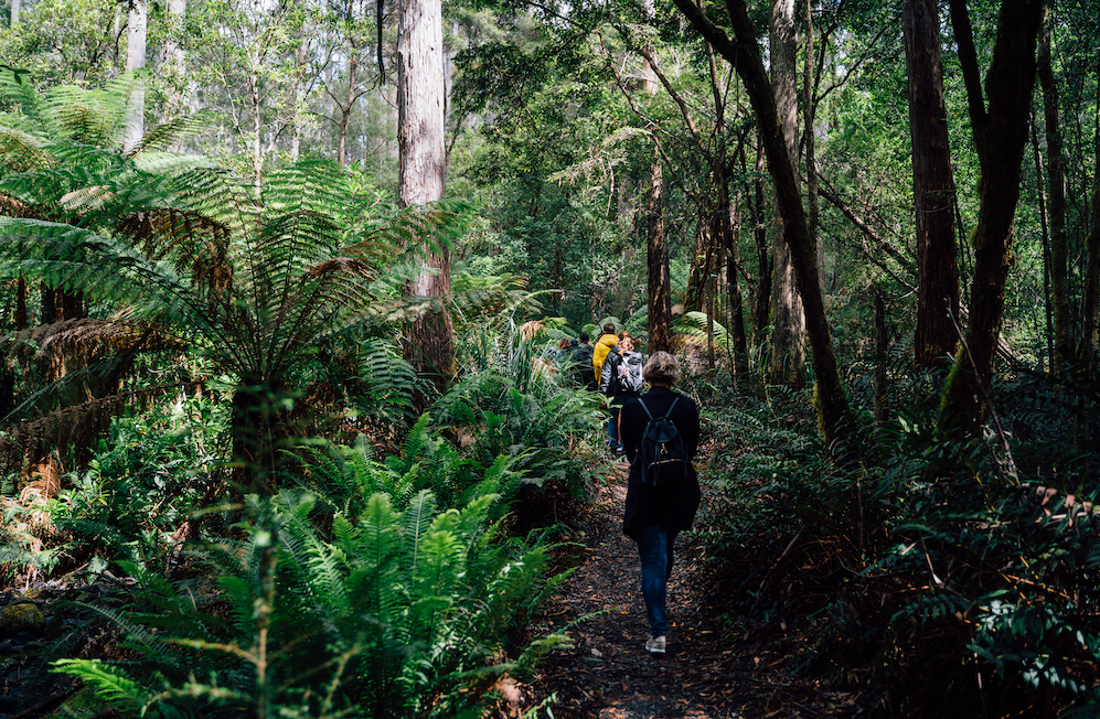 2 Day Tasmanian Highlights Tour - Bruny Island & Mt Field to MONA 