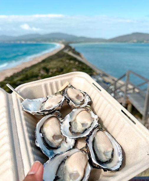 6 Day Island Icons Day Tour Bundle - Cradle Mountain, Wineglass Bay, Hobart Highlights, Port Arthur, Bruny Island, Hastings and Tahune