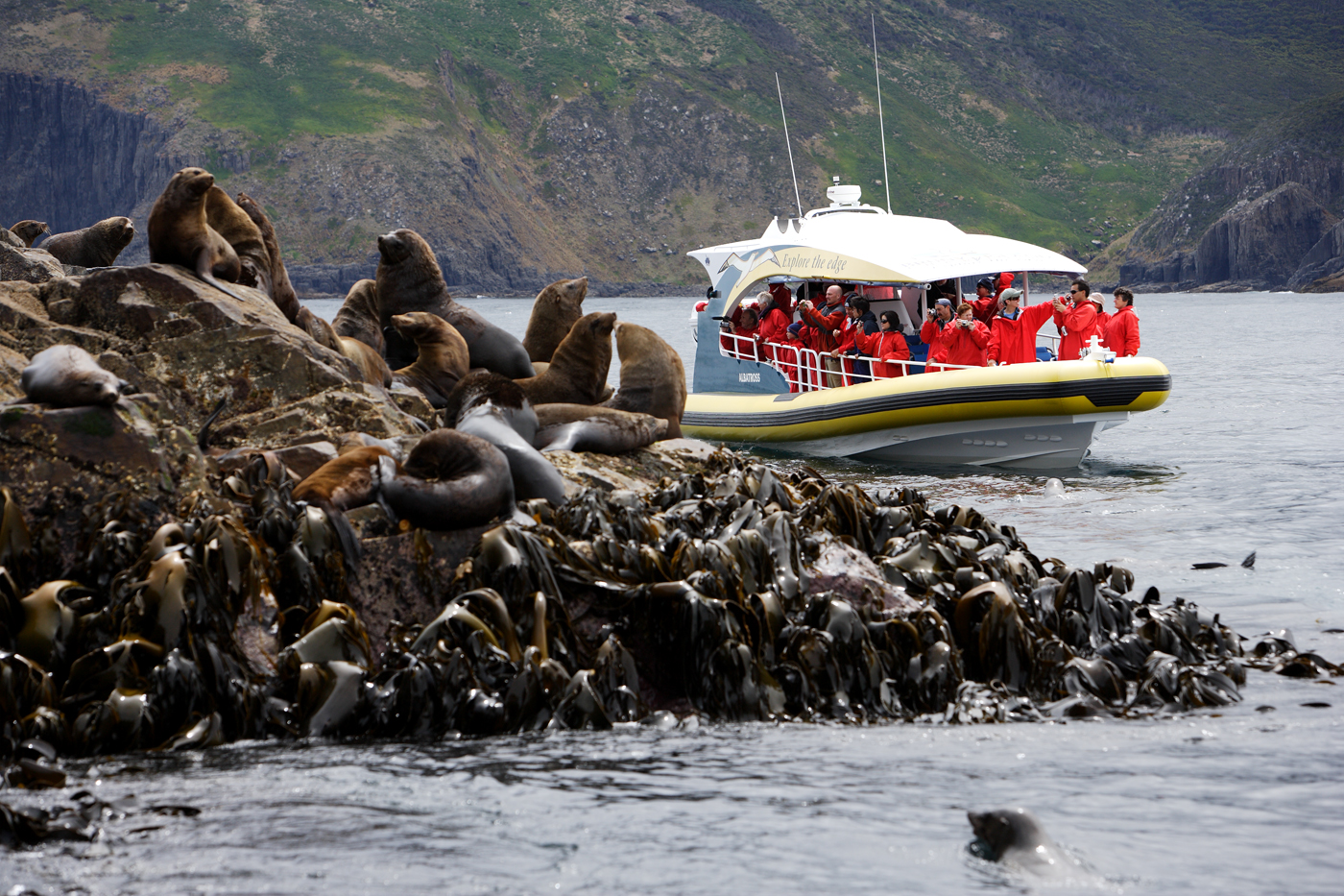 Tasmania’s most iconic  in 11 days