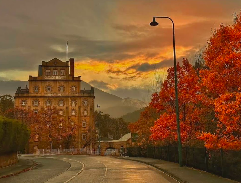 Shore Excursion - Hobart Highlights Day Tour