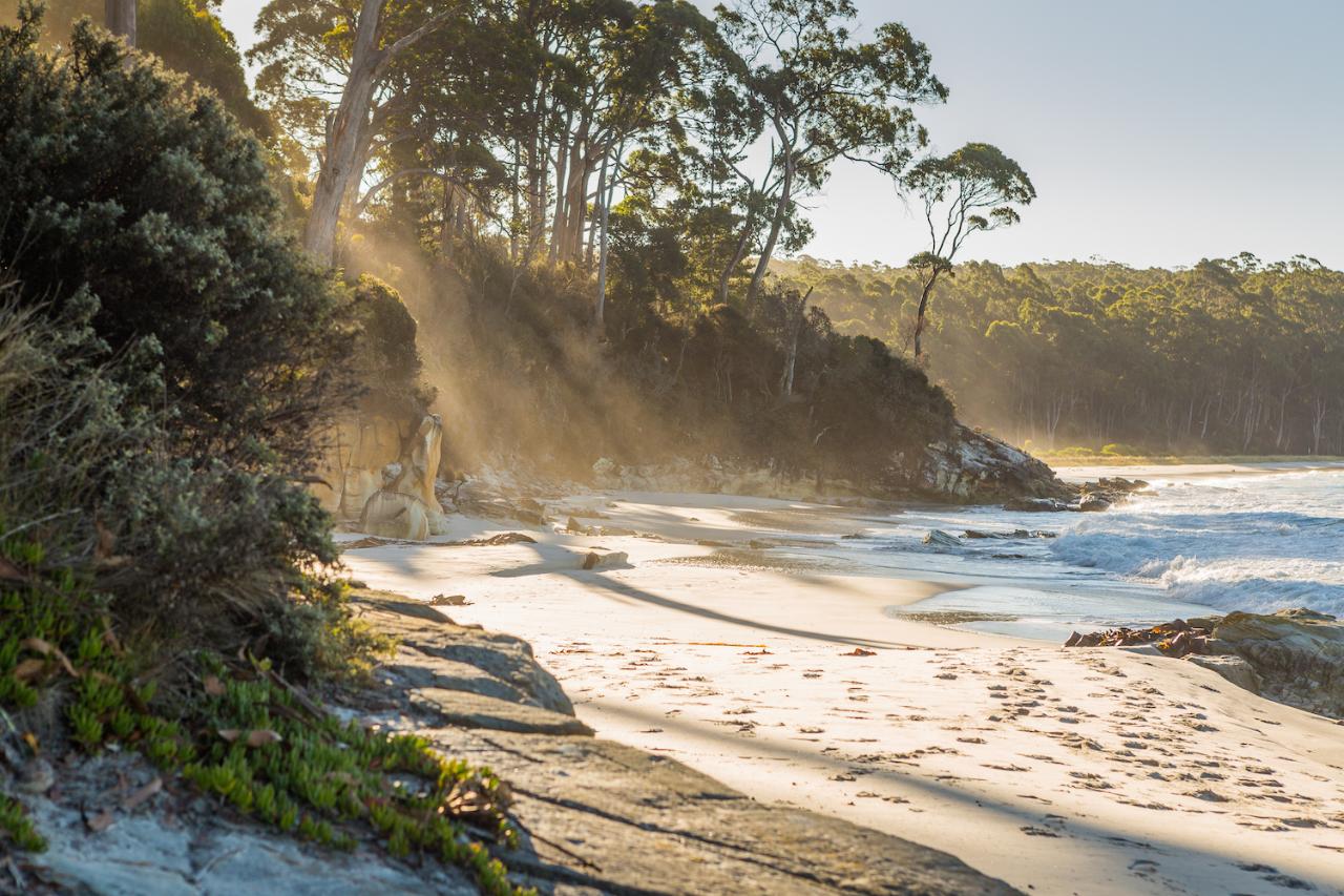 5 Day Tasmanian Highlights Tour - Hastings and Tahune, Port Arthur, Bruny Island, Mt Field to MONA, Hobart 