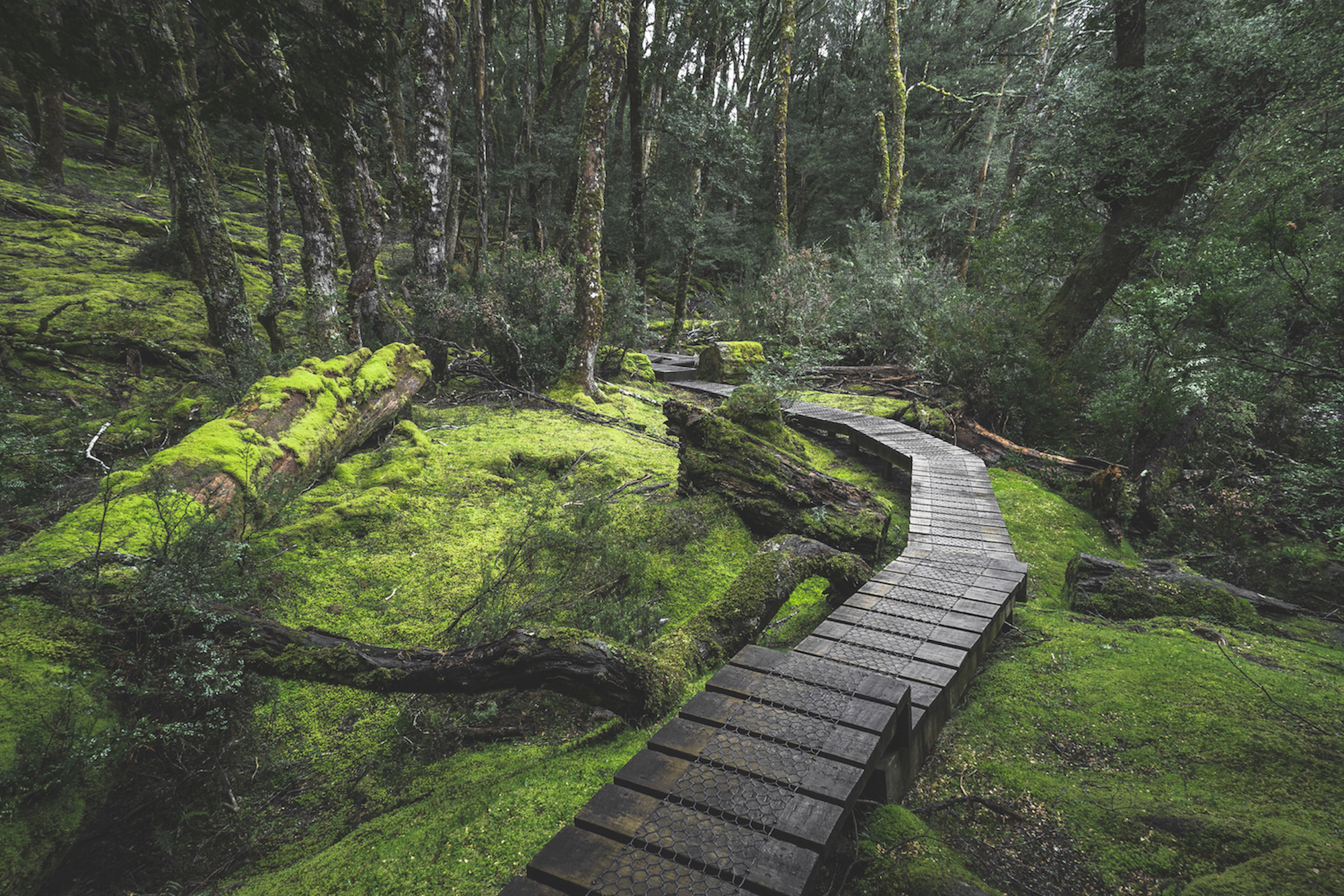 6 Day Island Icons Day Tour Bundle - Cradle Mountain, Wineglass Bay, Hobart Highlights, Port Arthur, Bruny Island, Hastings and Tahune  