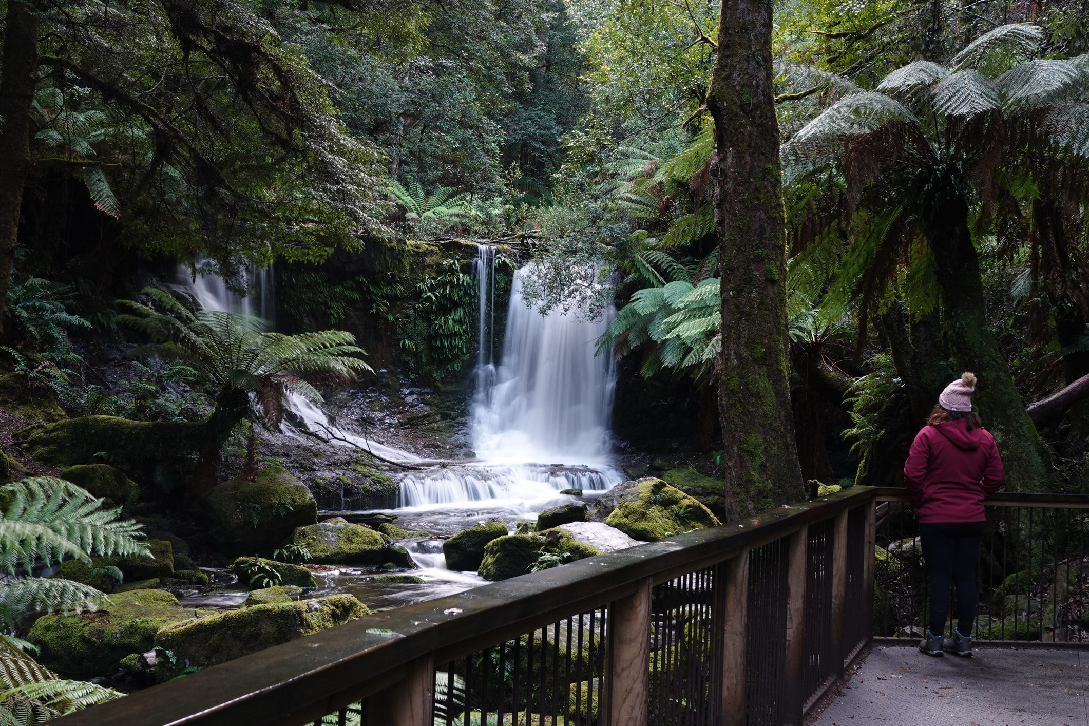 Mt Field National Park and Russell Falls
