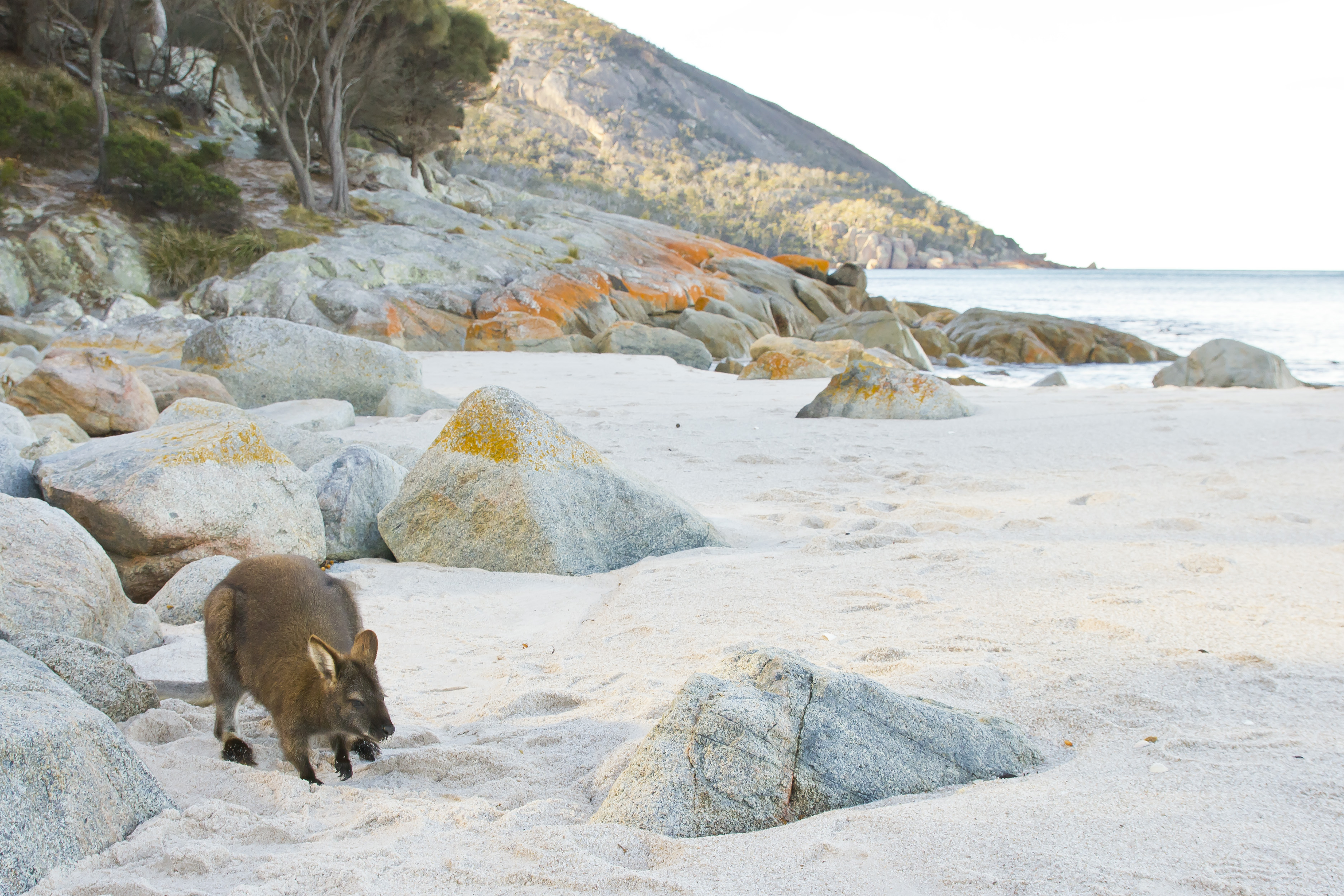 East Coast of Tasmania Overnighter